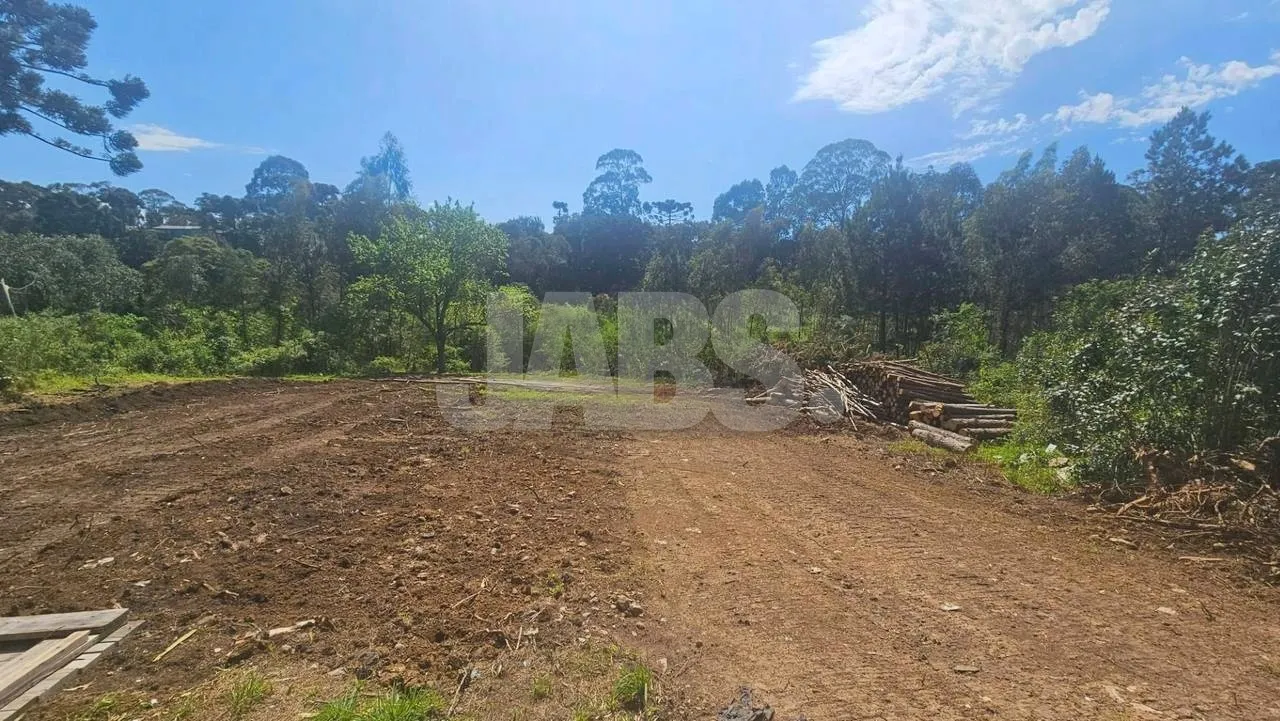 Lote de 1.028 m² com bosque perto do Centro de Canela, foto 5