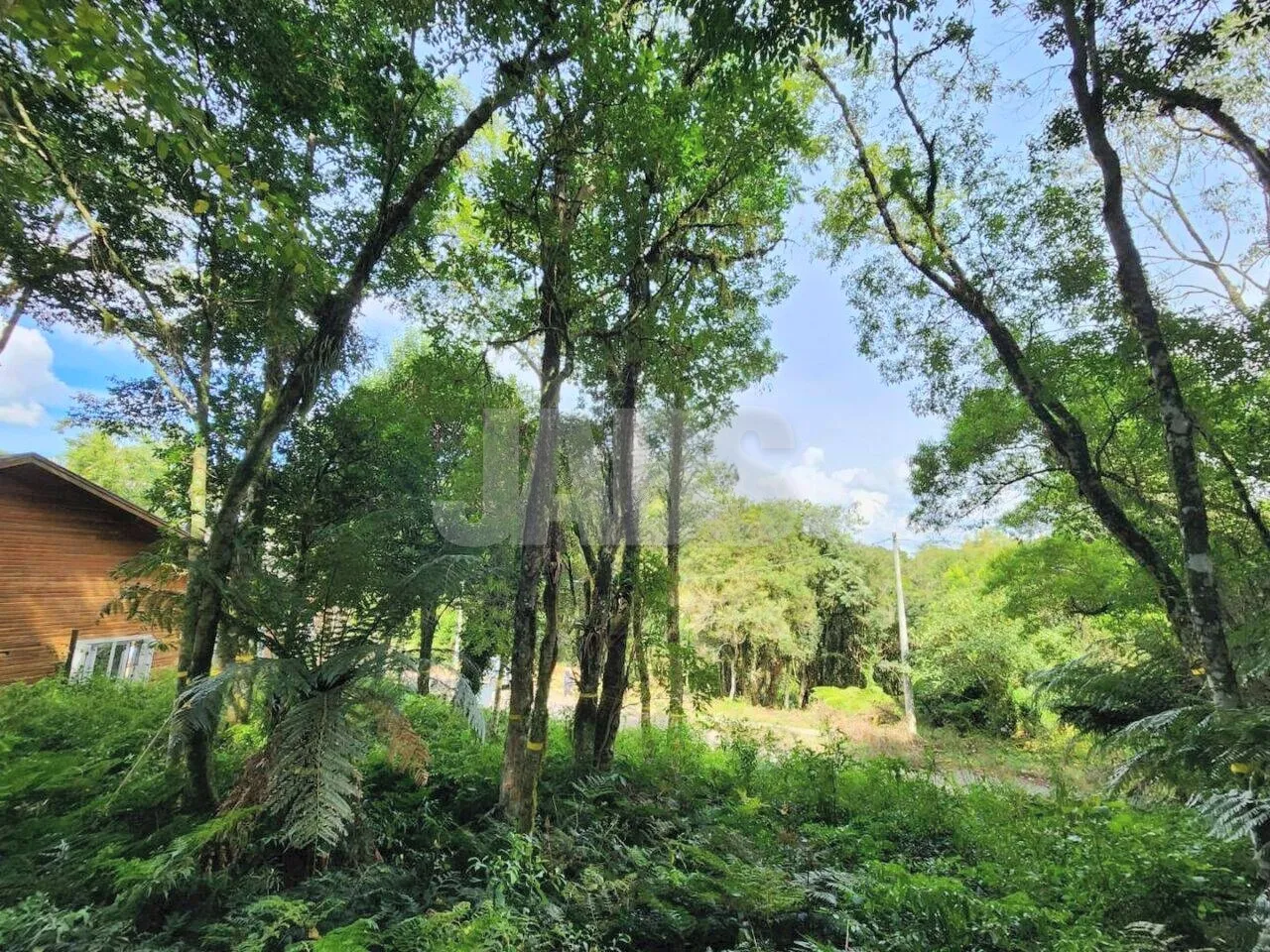 Terreno de 681 m² na Vila do Cedro, foto 4