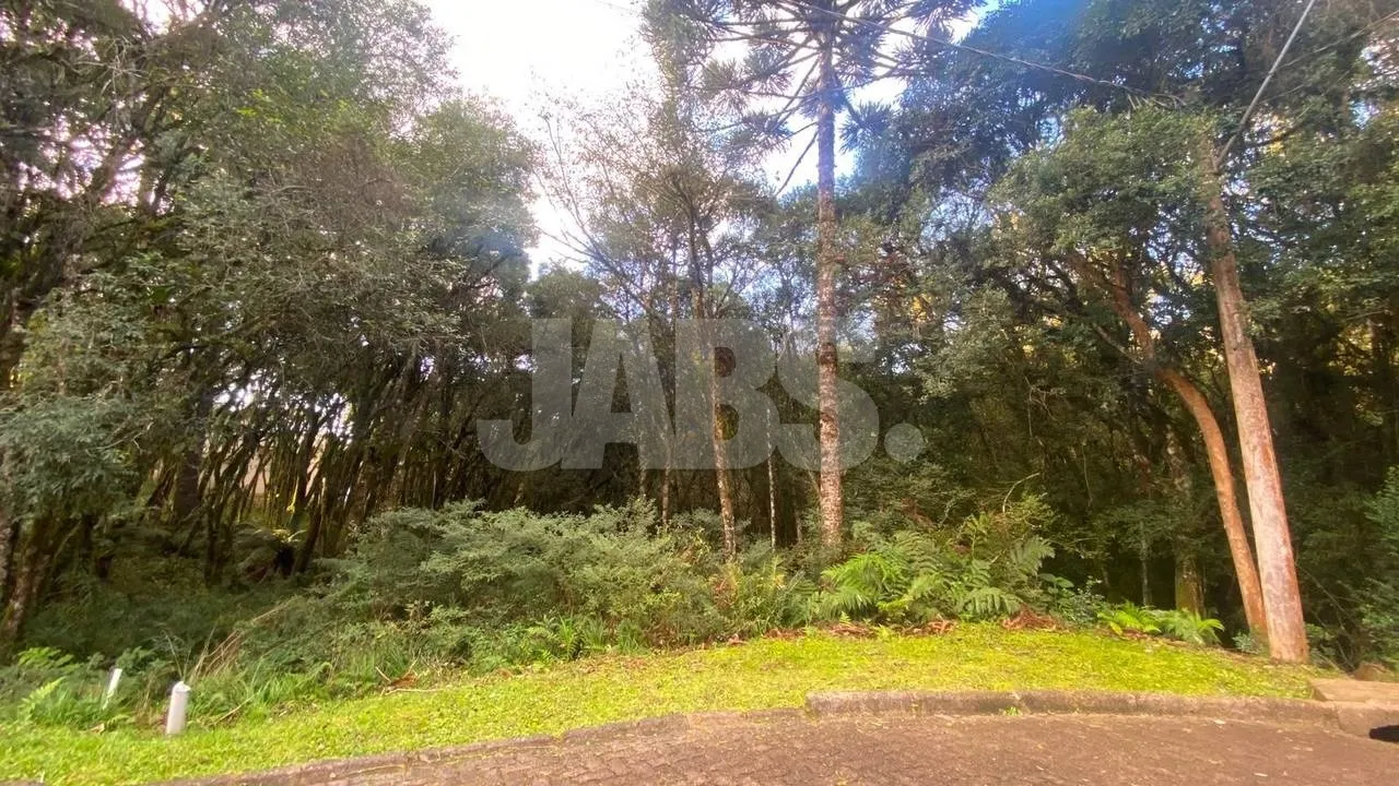 Terreno de 745 m² no Residencial Pinheiro Grosso, foto 2