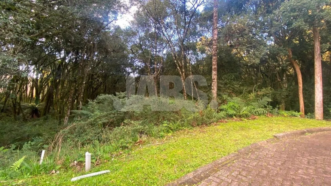 Terreno de 745 m² no Residencial Pinheiro Grosso, foto 3