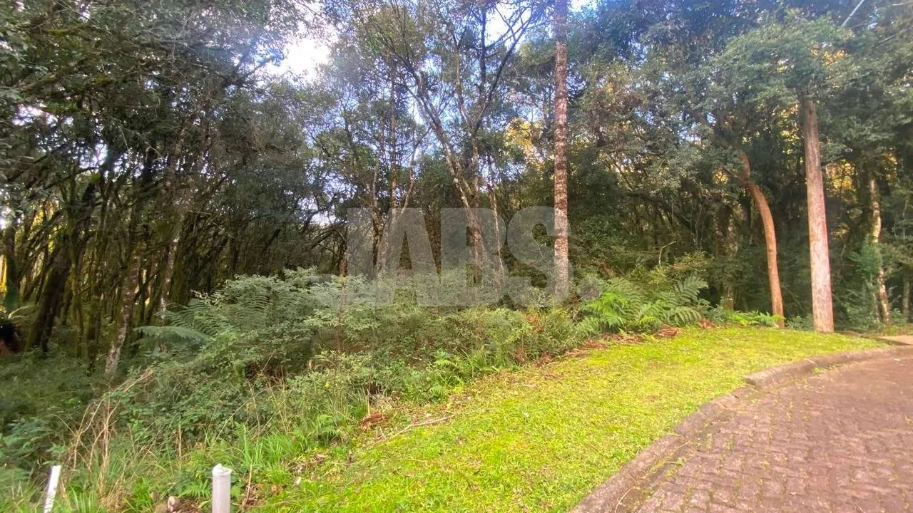 Terreno de 745 m² no Residencial Pinheiro Grosso, foto 4