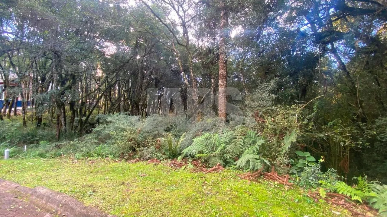 Terreno de 745 m² no Residencial Pinheiro Grosso, foto 6