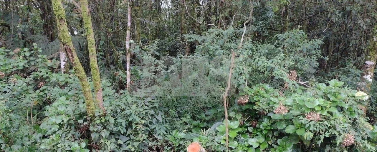 Terreno de 777 m² com privacidade no Alpes Verdes, foto 2