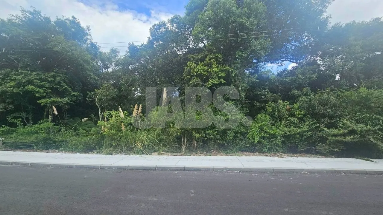 Terreno de 930 m² num dos pontos mais altos do Alpes Verdes, foto 3