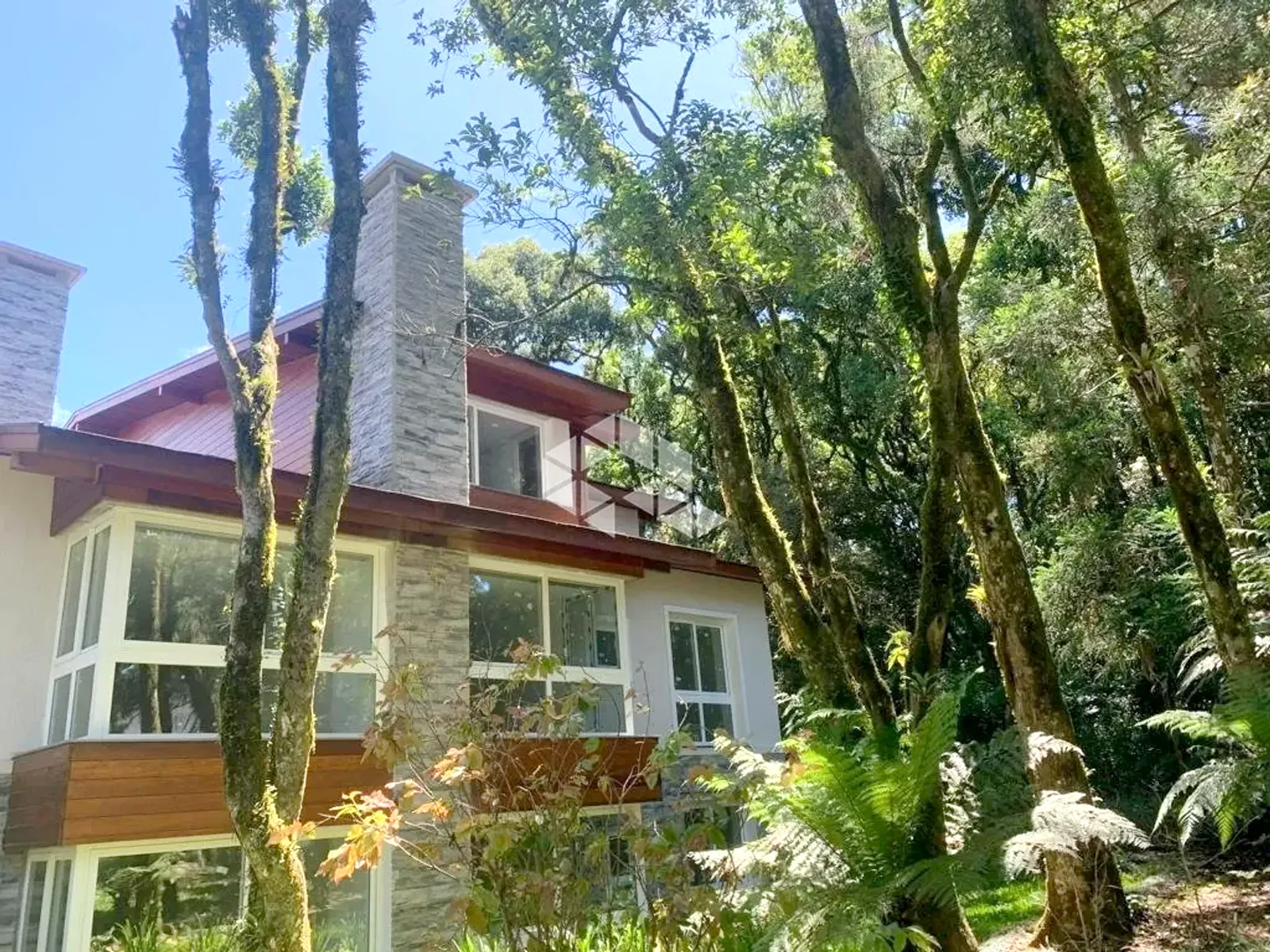 Residencial cercado pela mata