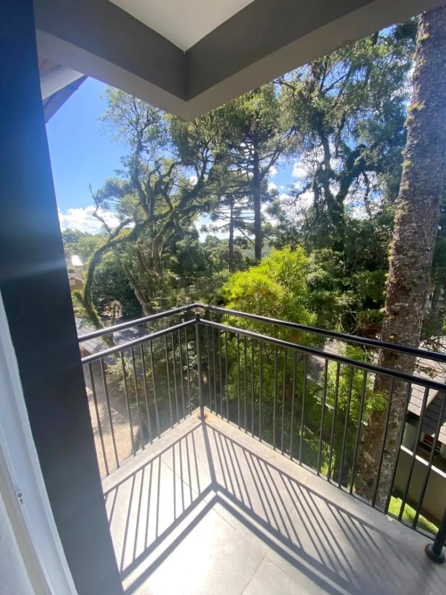Sacada com vista para as árvores