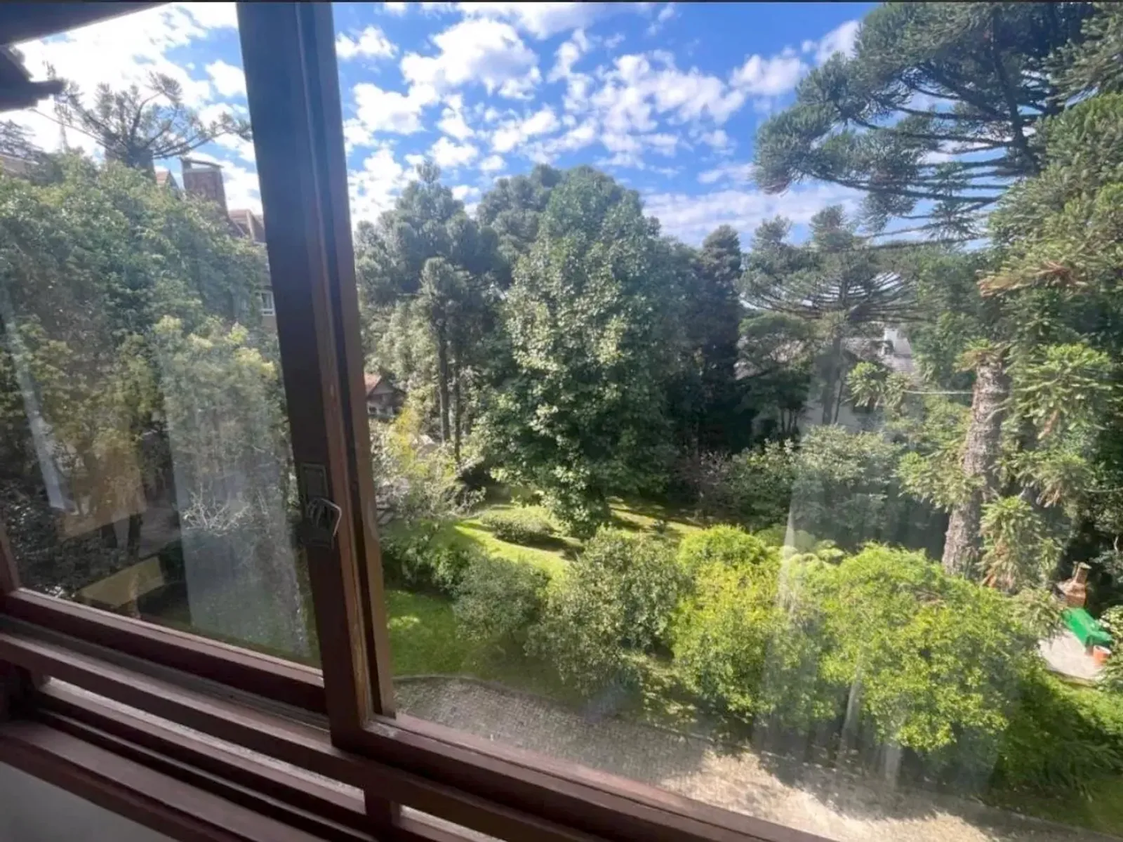 Vista da janela para a mata