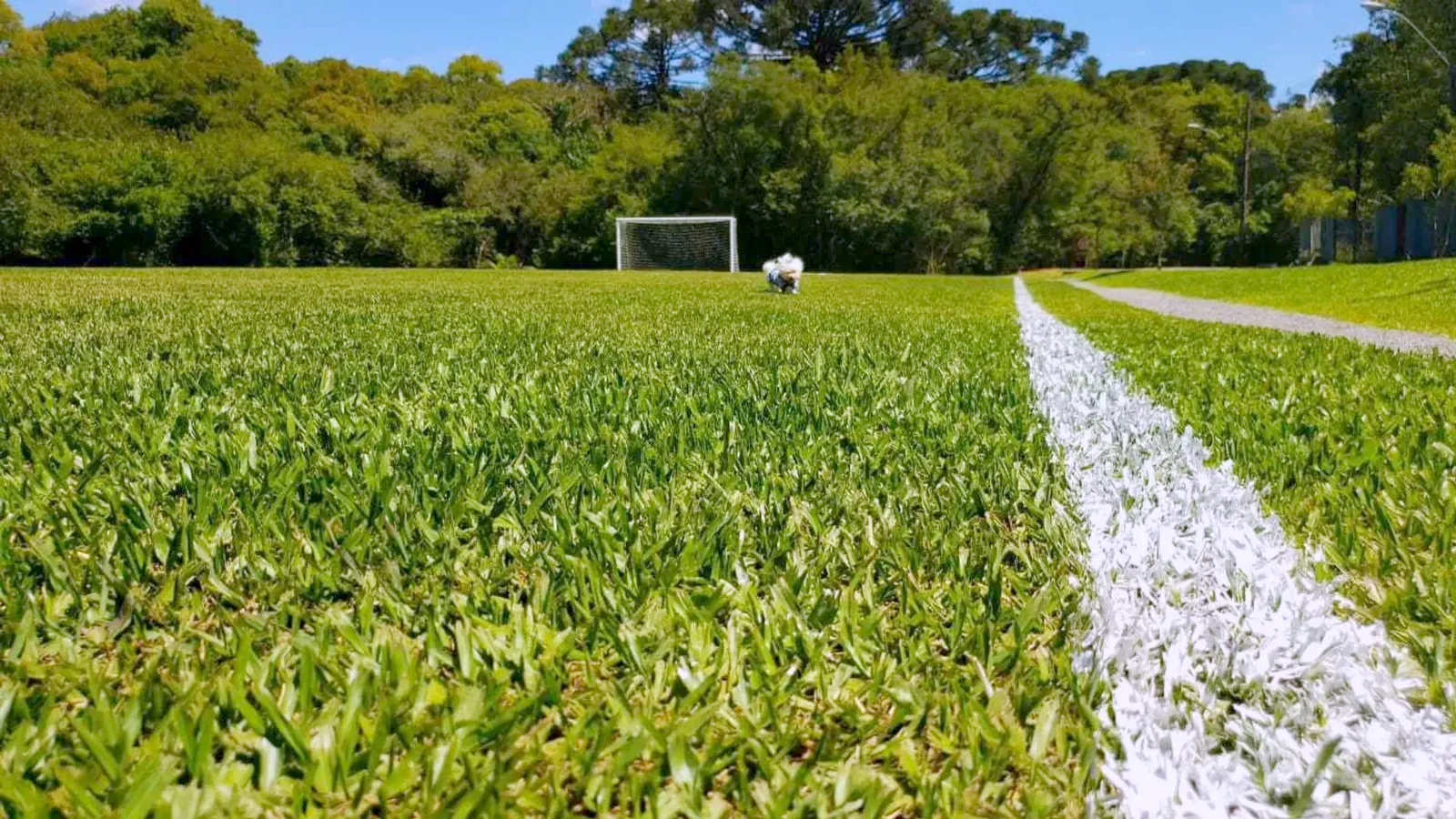 Campo de futebol de grama