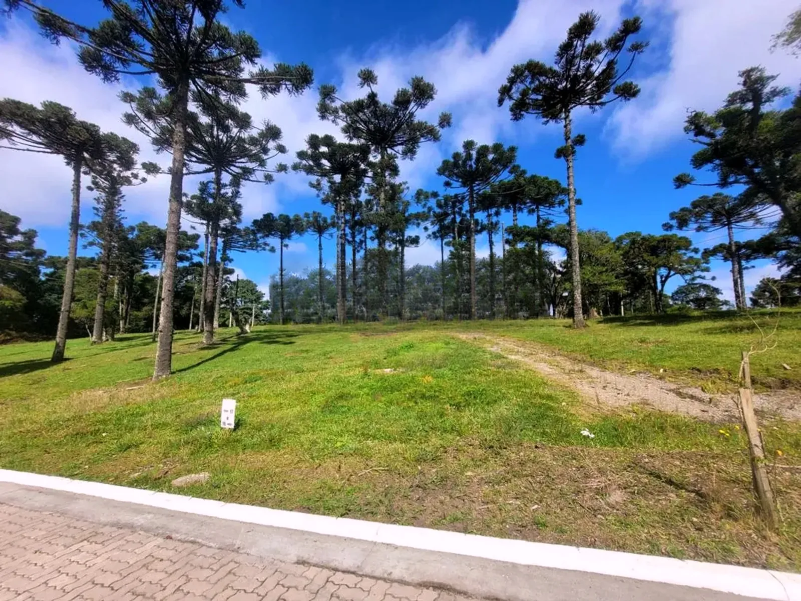 Terreno gramado com rua pavimentada em frente