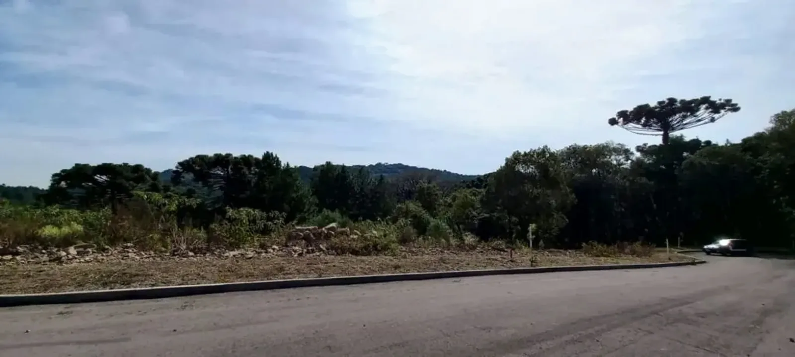 Rua do loteamento em frente ao terreno