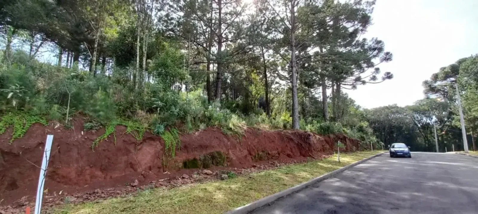 Terreno de 450 m² arborizado no Dutra, foto 2