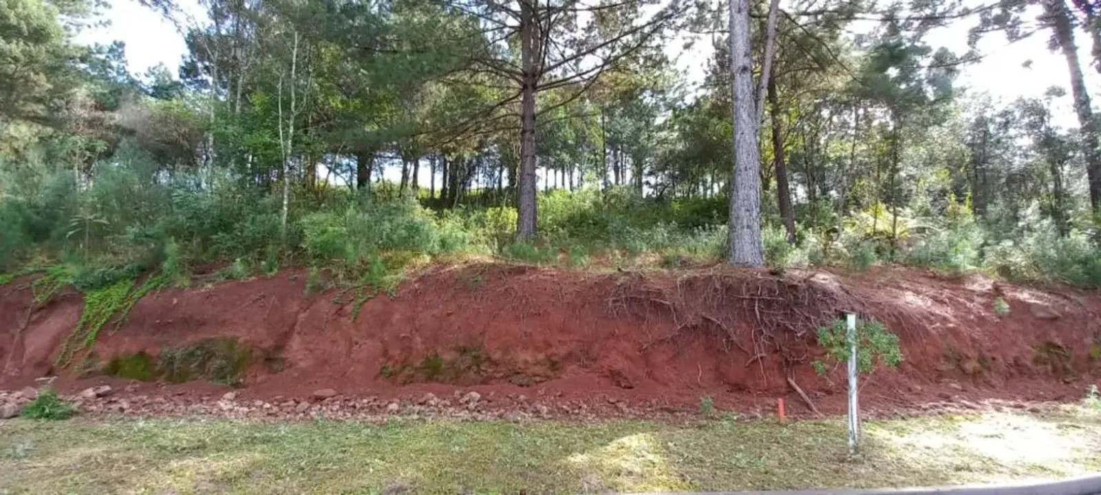 Terreno de 450 m² arborizado no Dutra, foto 5