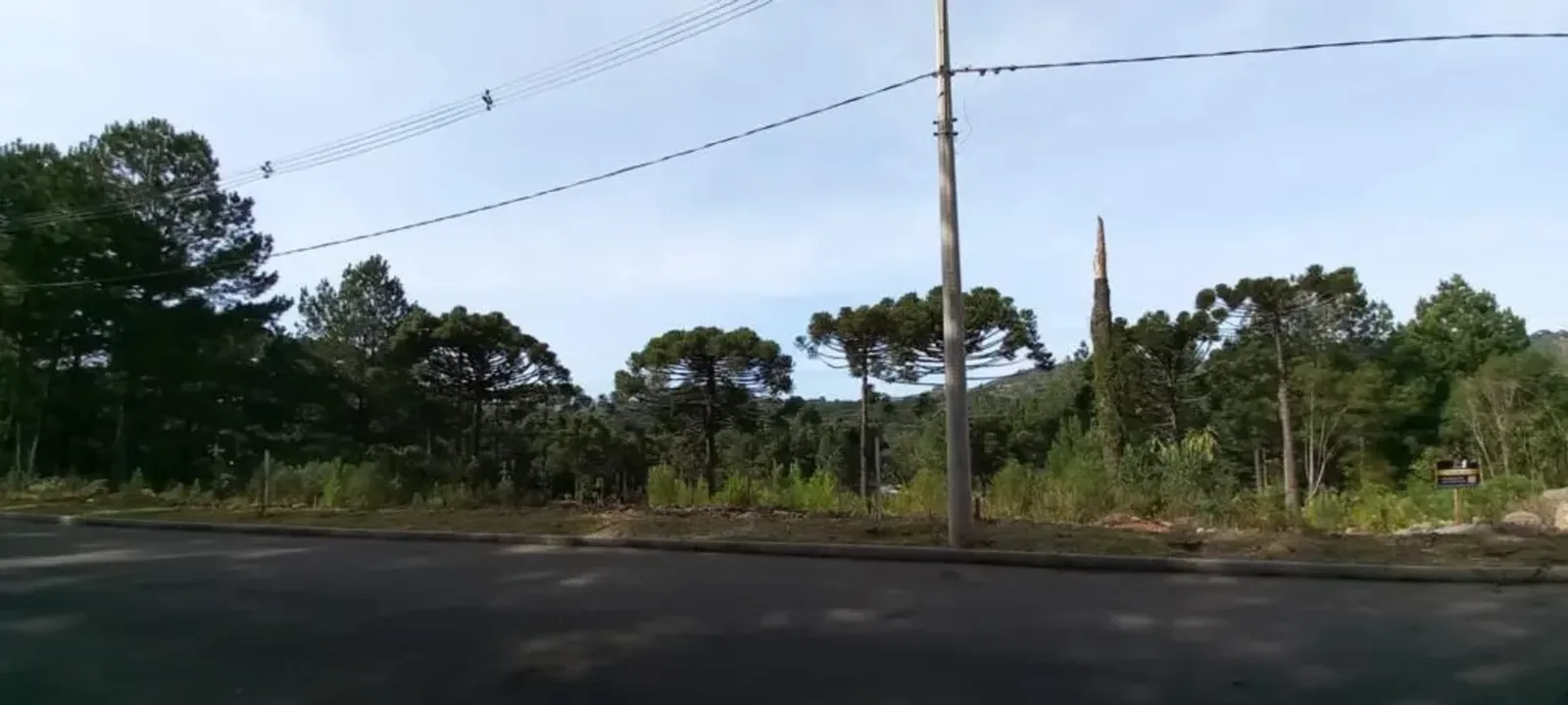Terreno de 450 m² arborizado no Dutra, foto 6