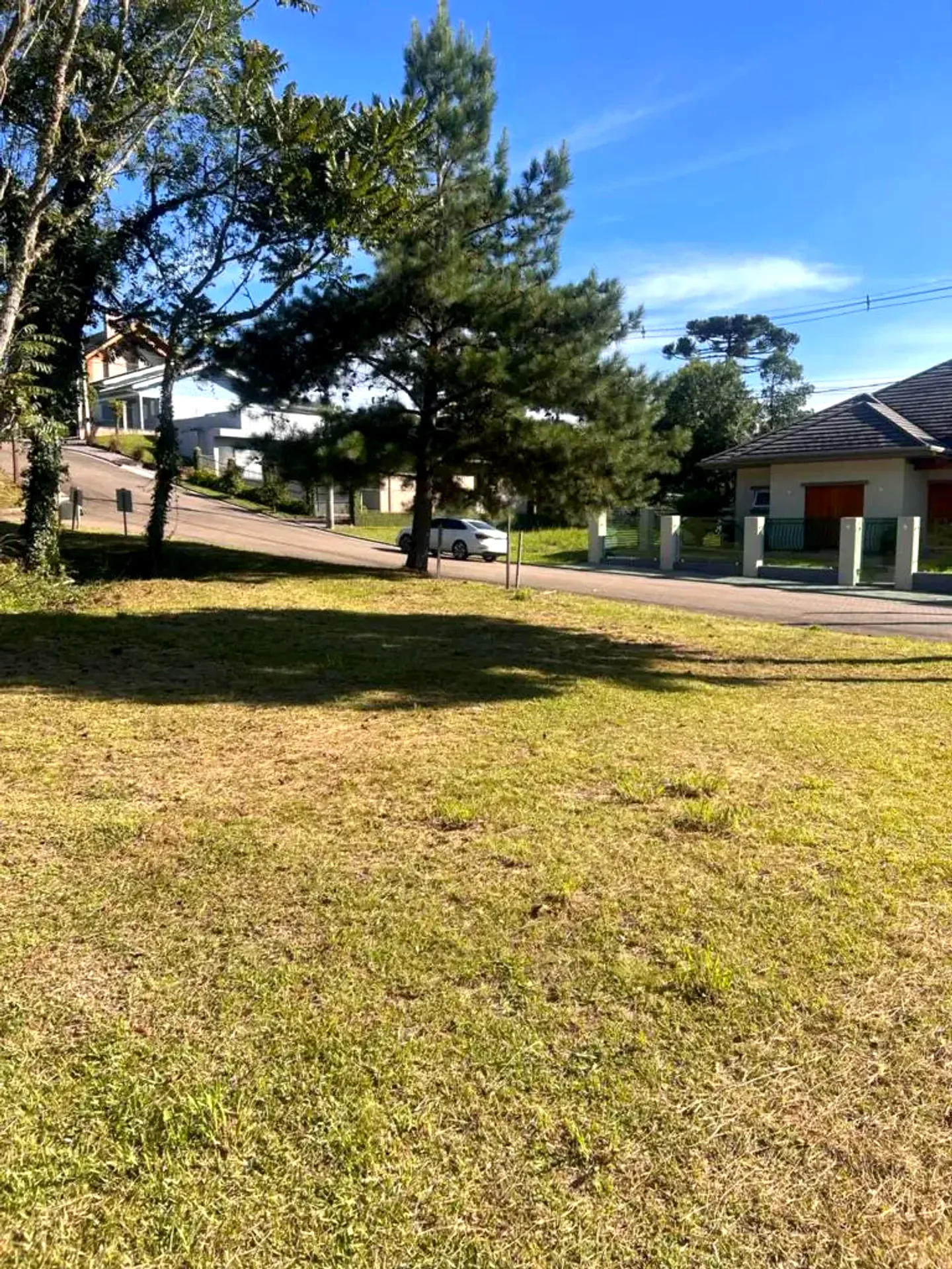 Terreno plano de 465 m² na Rua Araucária