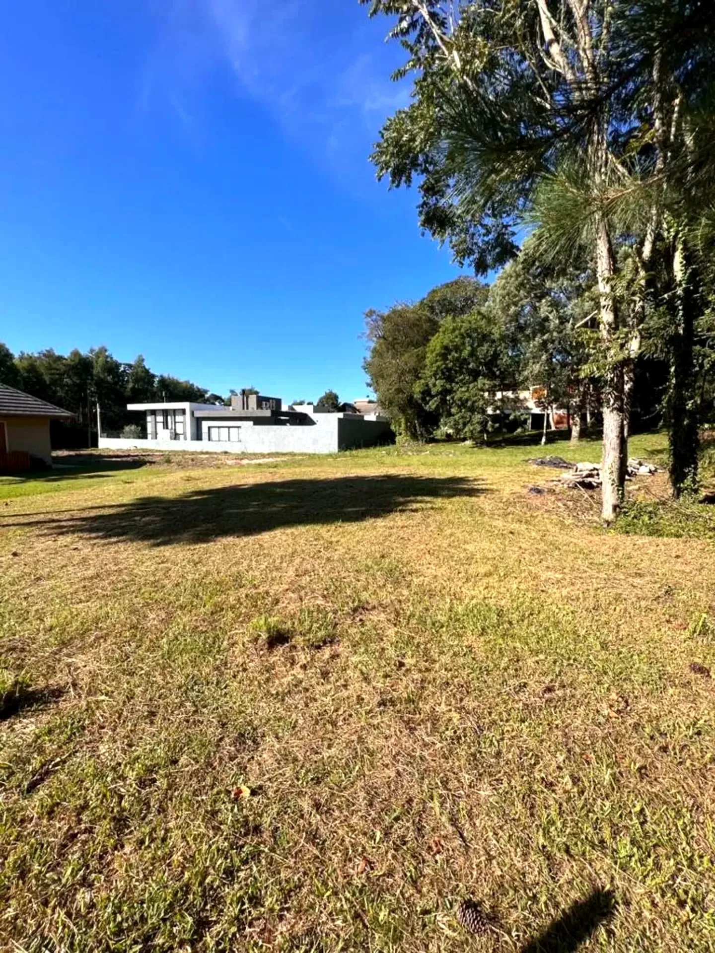 Terreno plano de 465 m² na Rua Araucária, foto 2