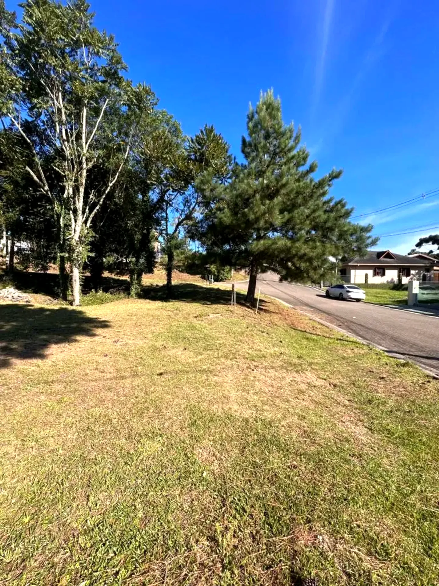Terreno plano de 465 m² na Rua Araucária, foto 4