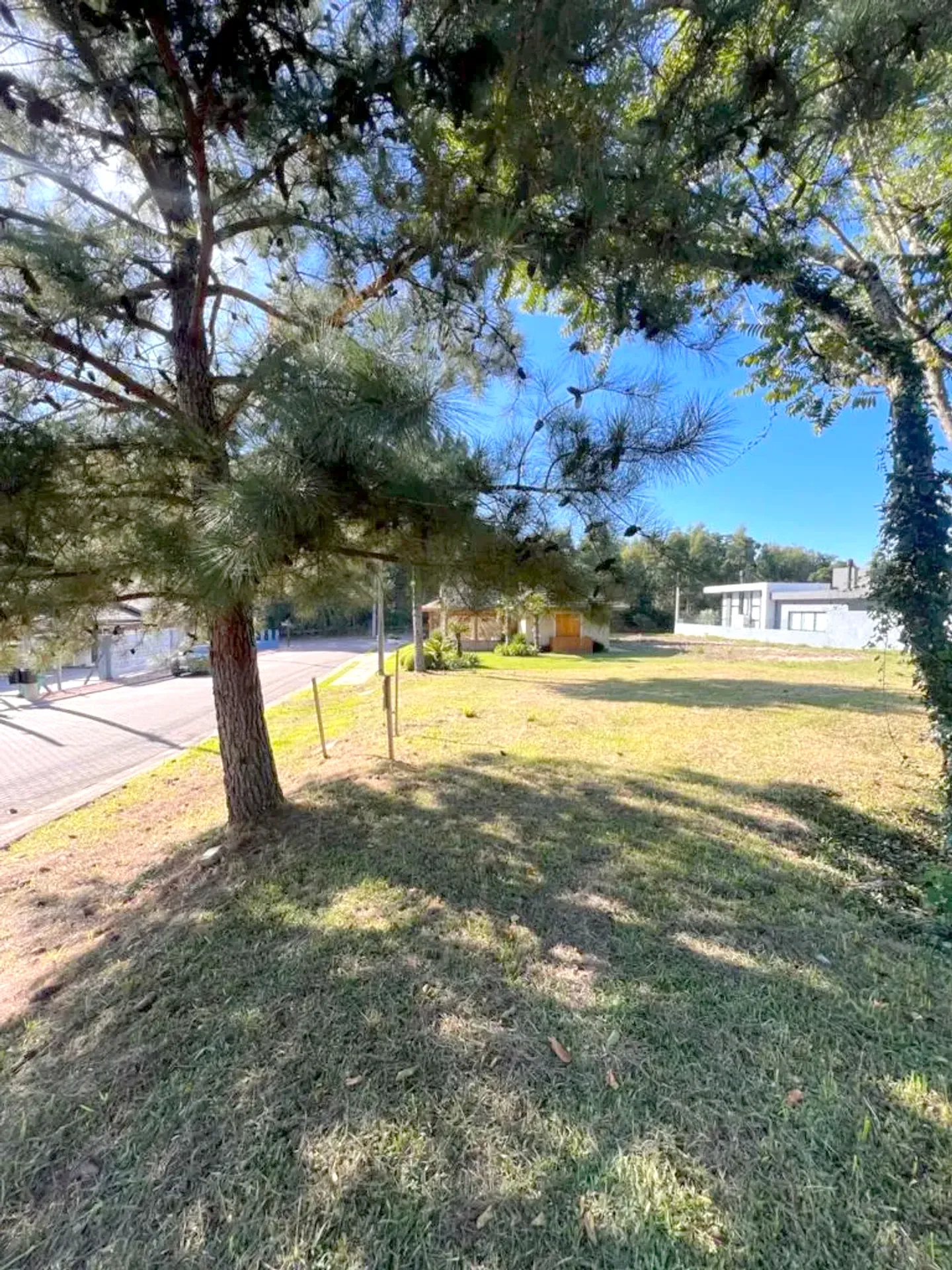 Terreno plano de 465 m² na Rua Araucária, foto 6