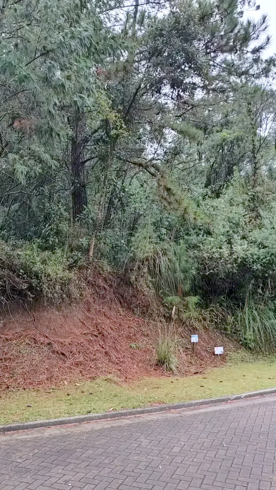 Lateral do terreno