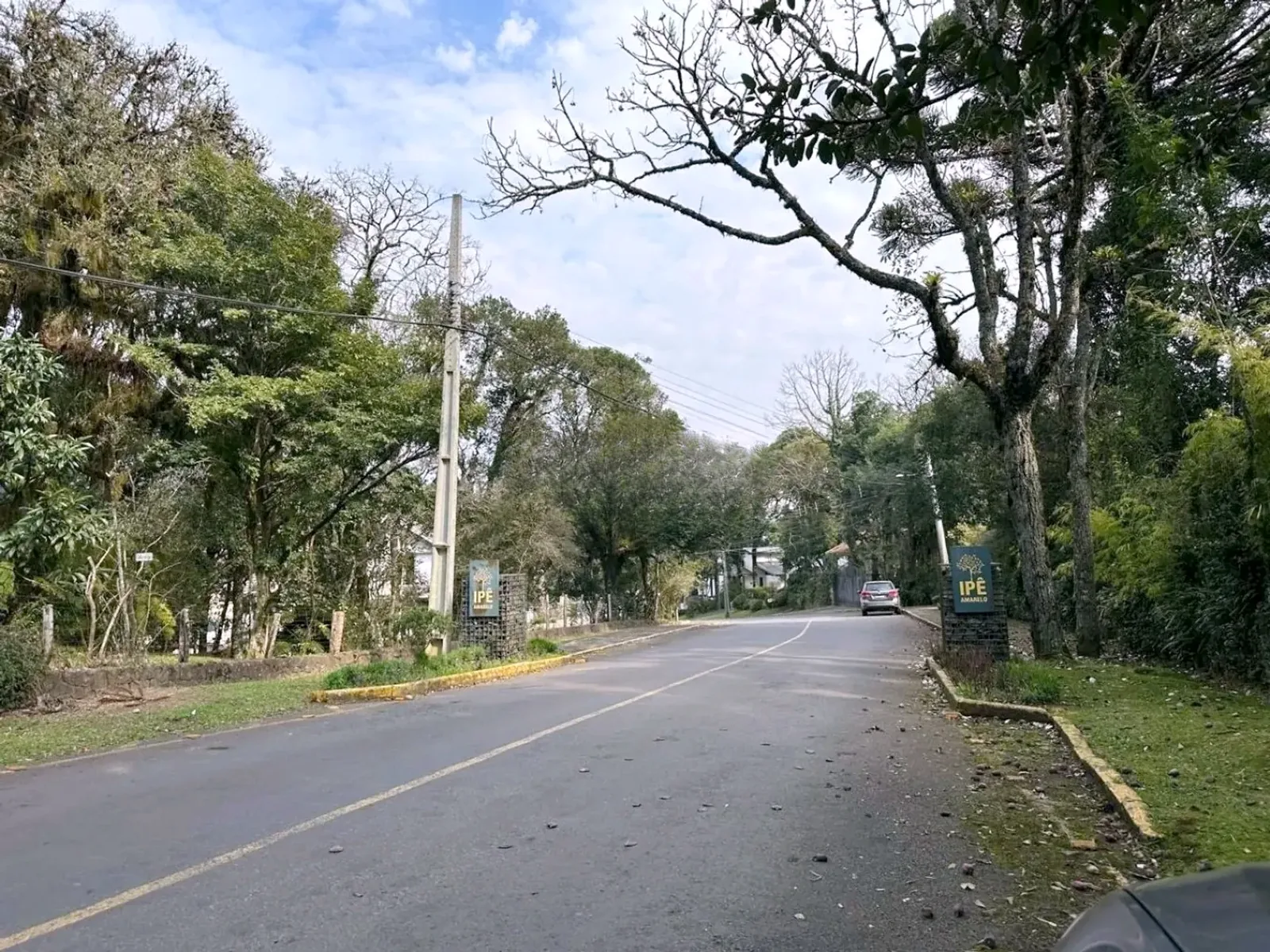 Rua arborizada do bairro