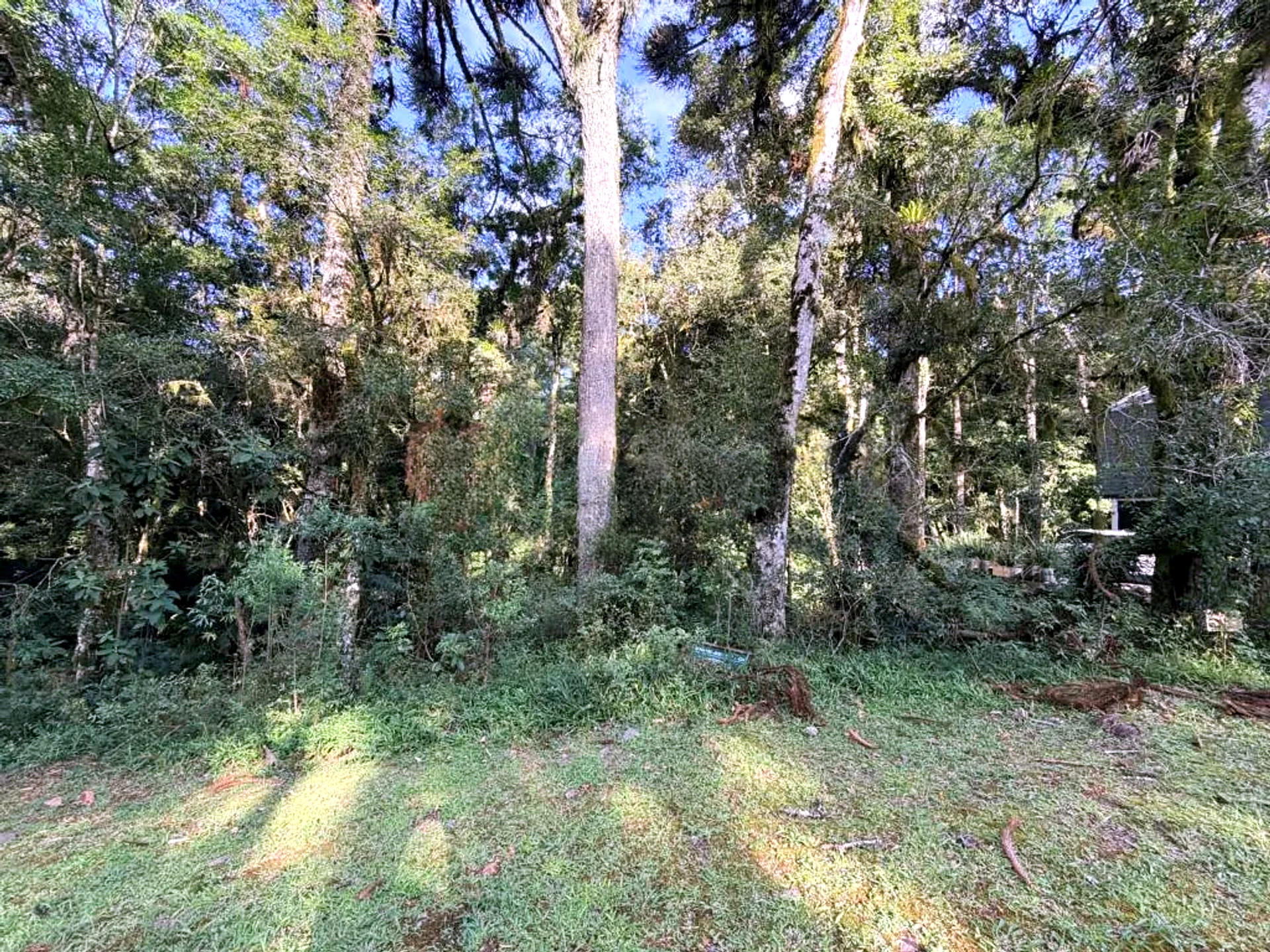 Terreno de 592 m² perto do Parque Terra Mágica Florybal