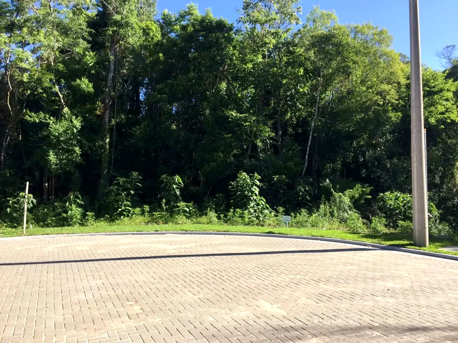 Terreno arborizado de 597 m² com vista para o vale