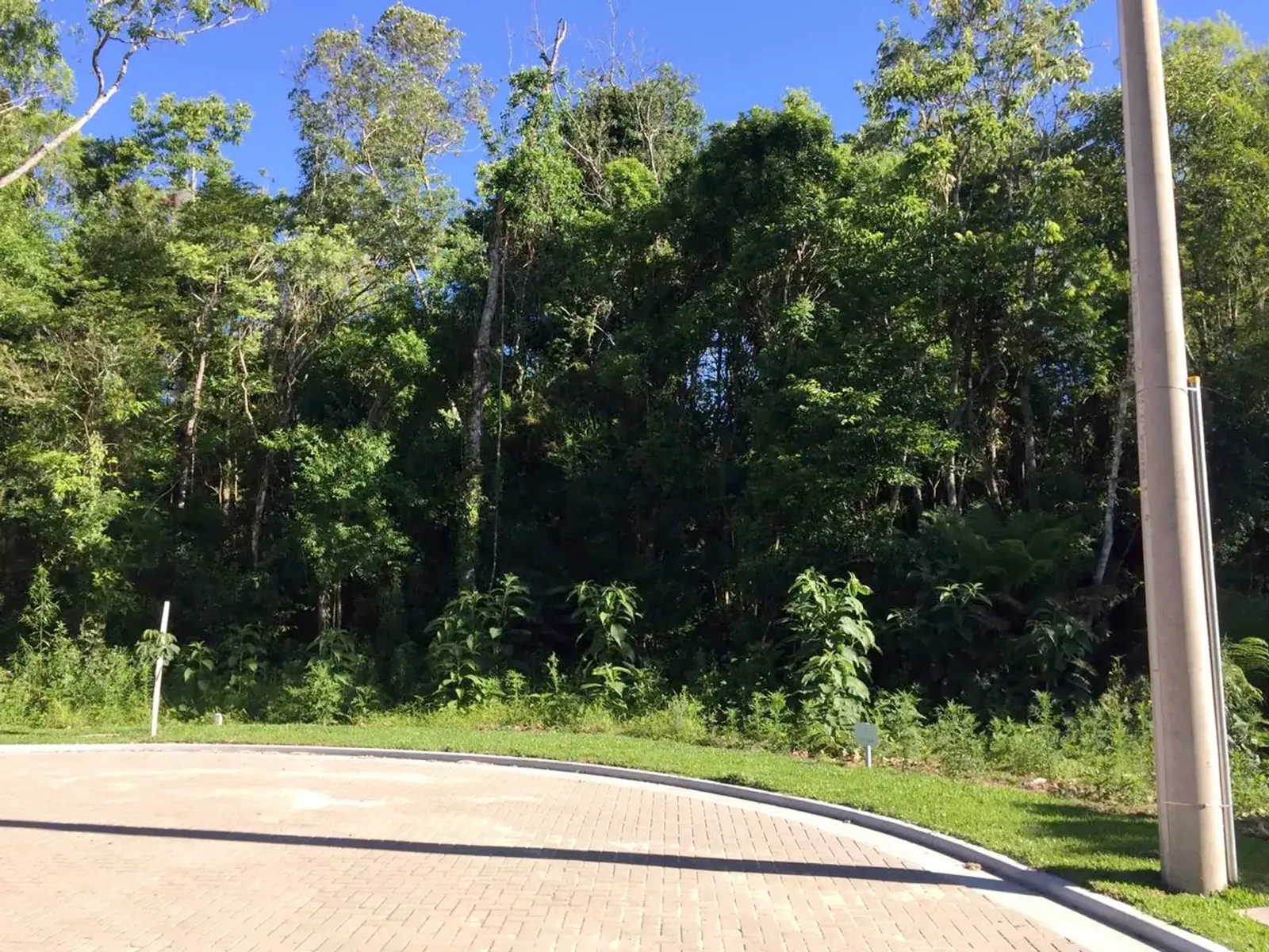 Terreno arborizado de 597 m² com vista para o vale, foto 2