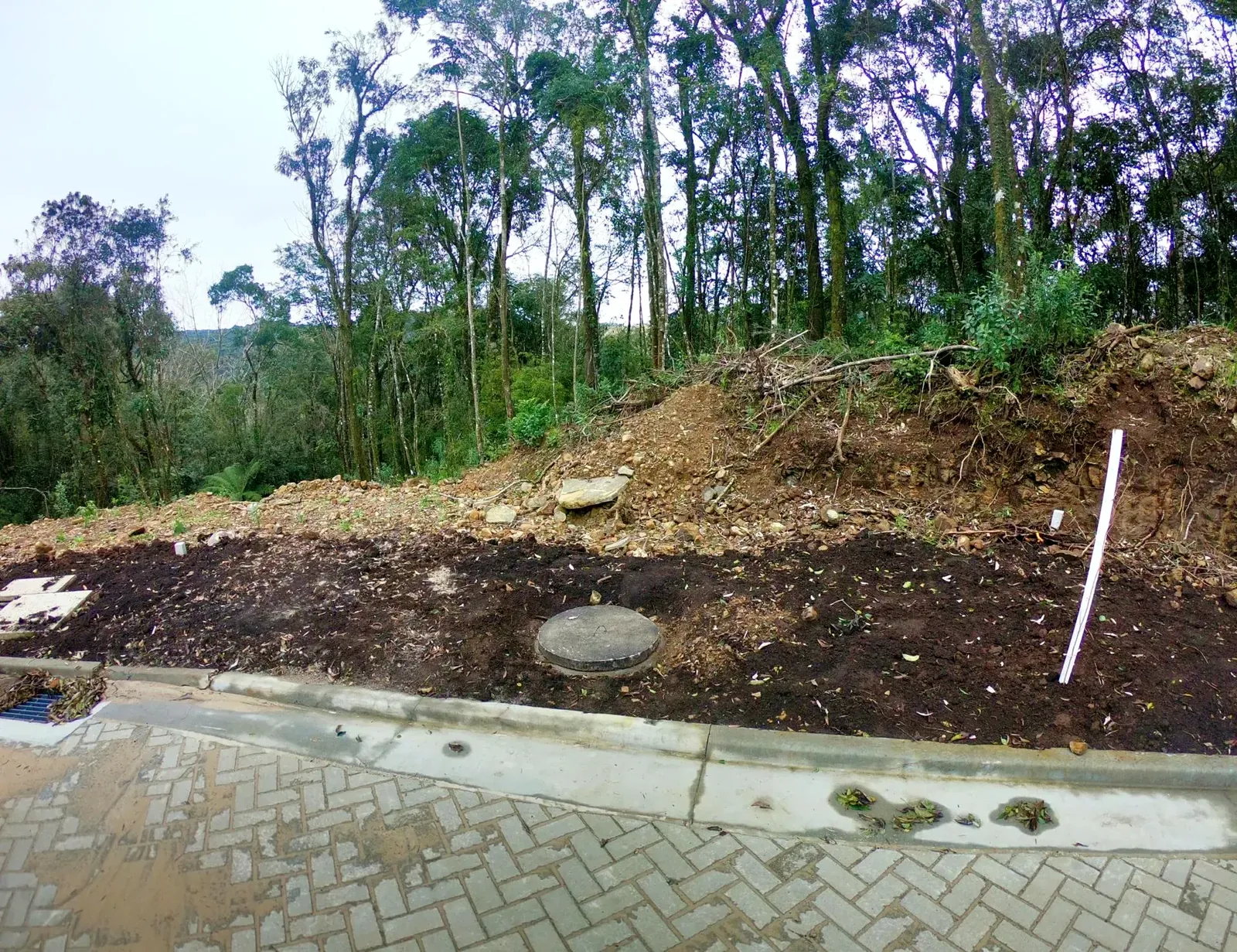 Terreno arborizado de 597 m² com vista para o vale, foto 3