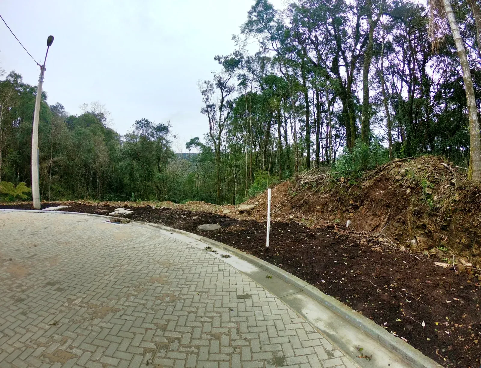 Terreno arborizado de 597 m² com vista para o vale, foto 4