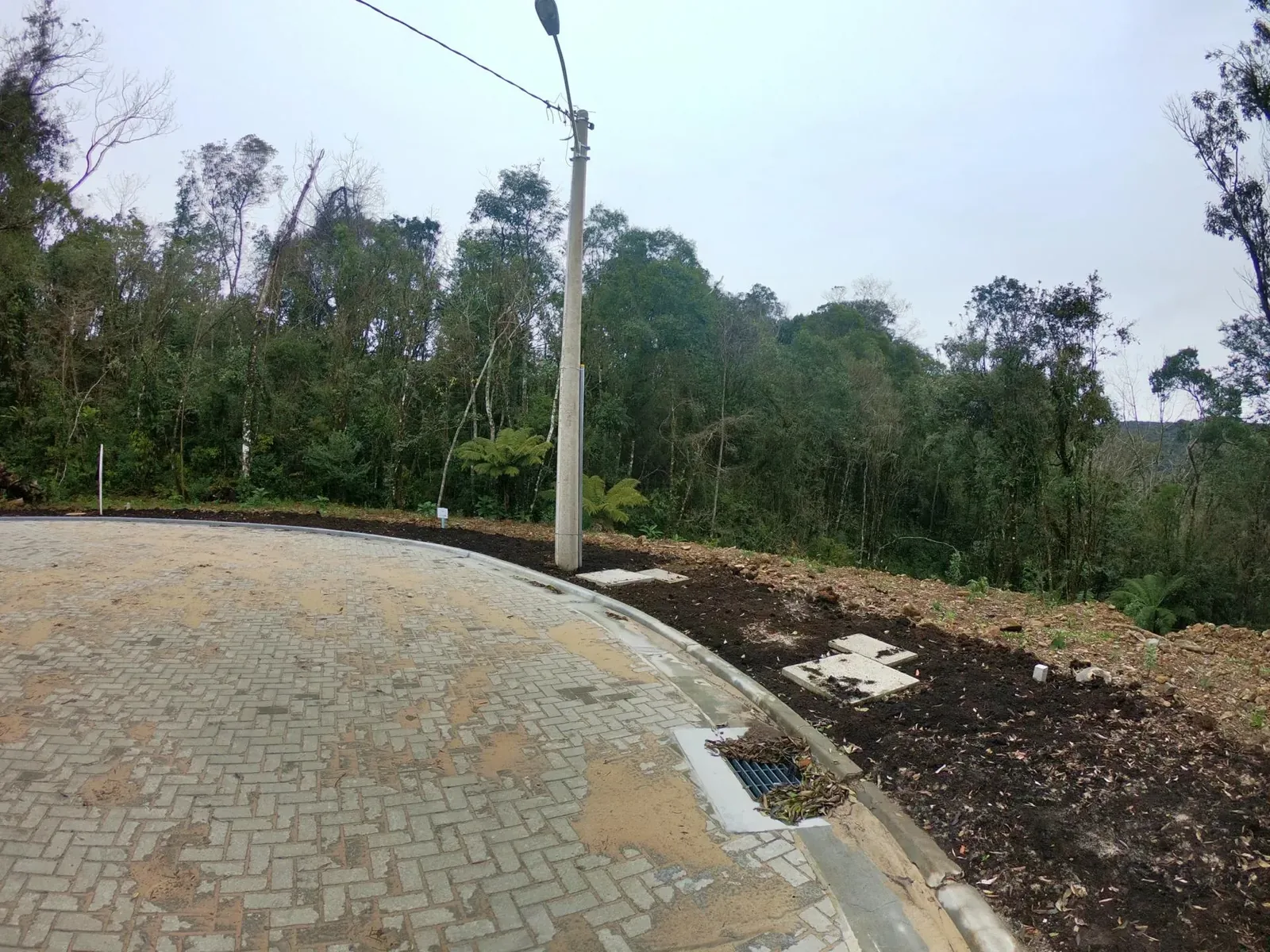 Terreno arborizado de 597 m² com vista para o vale, foto 6
