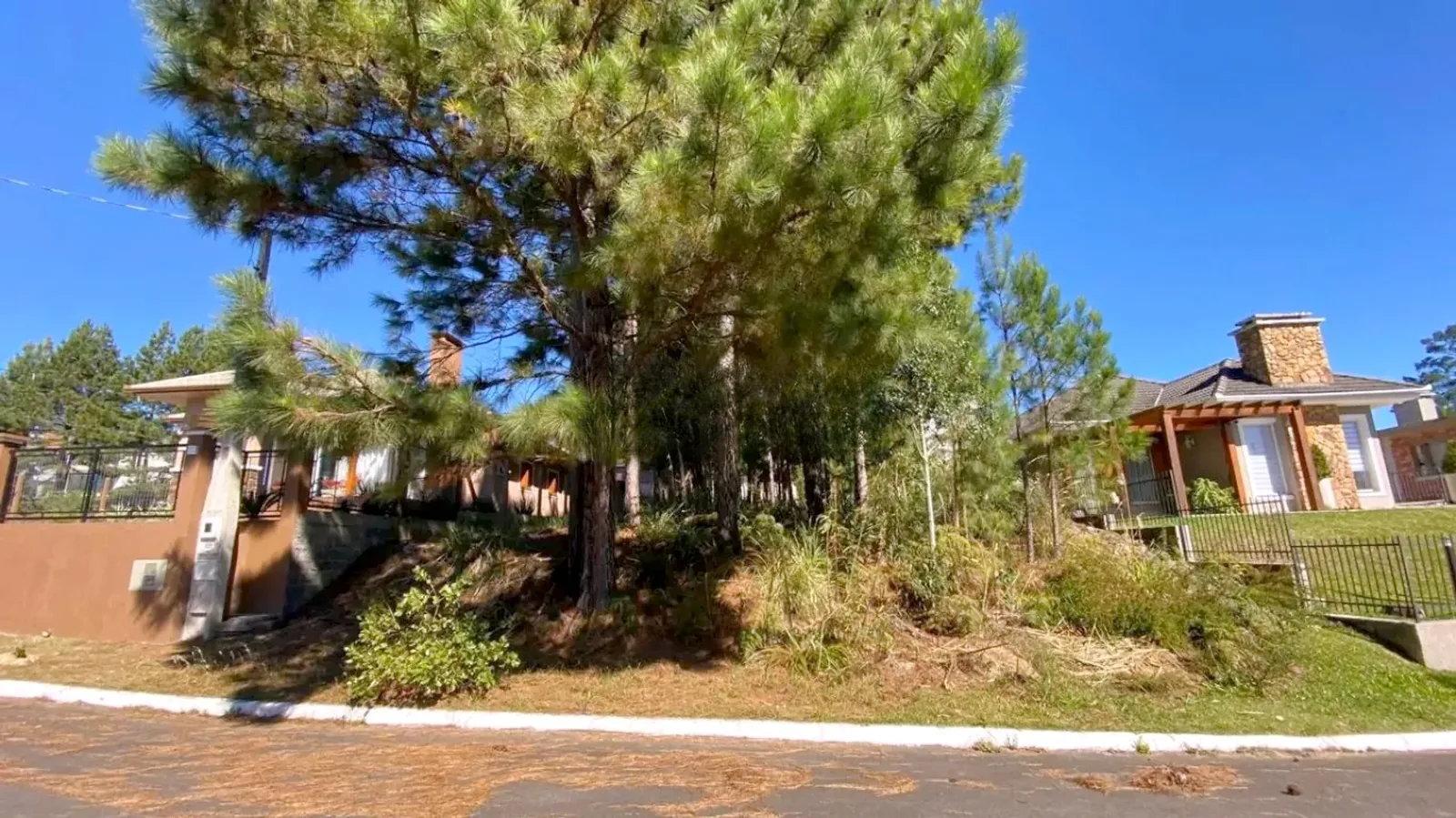Terreno arborizado com casas vizinhas