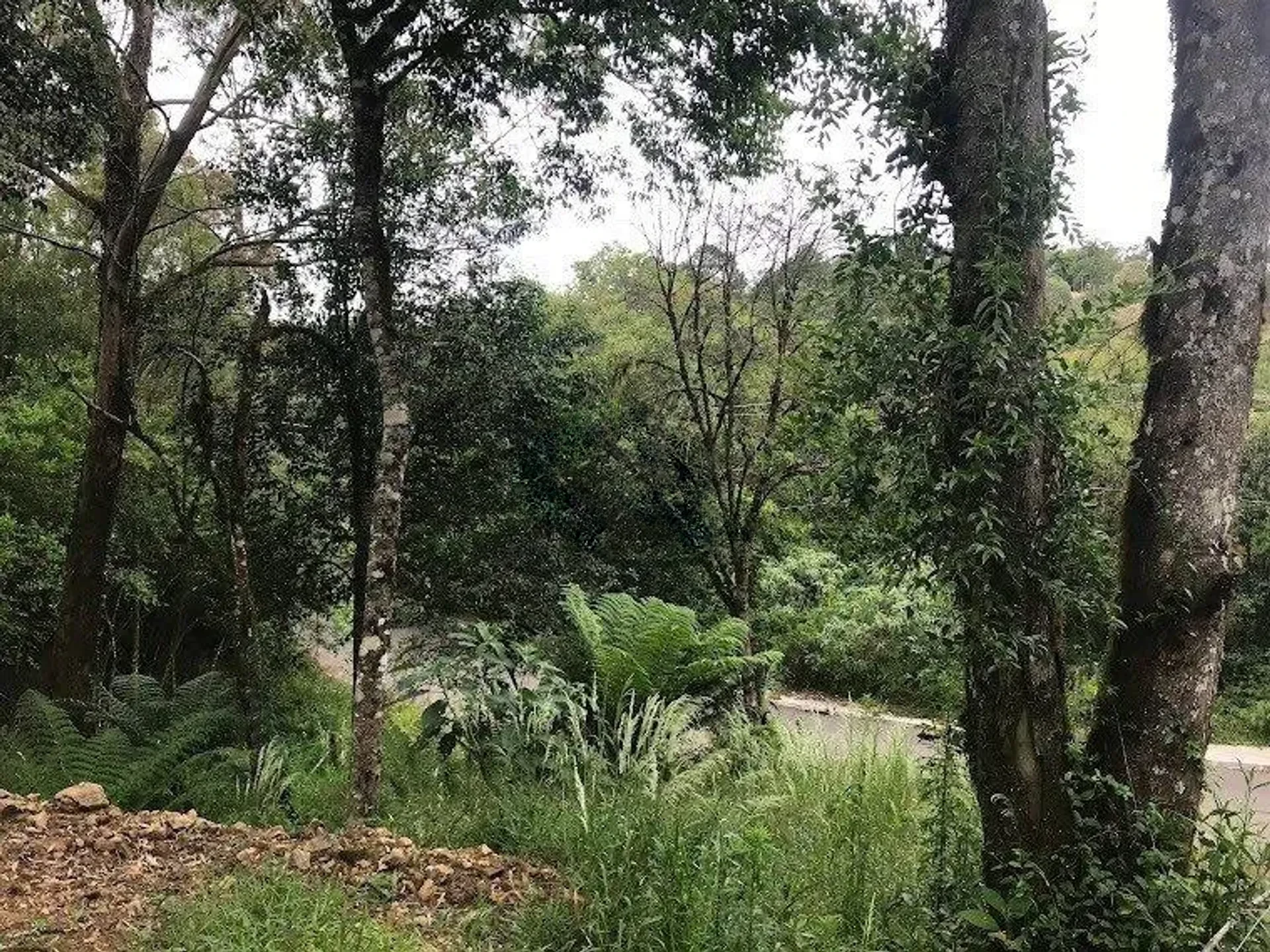 Trecho do lote junto à rua