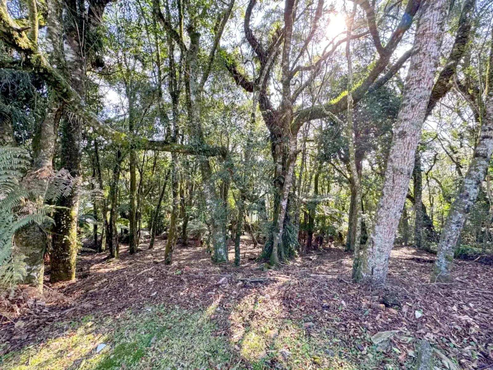 Terreno de 620 m² em condomínio fechado com lagos