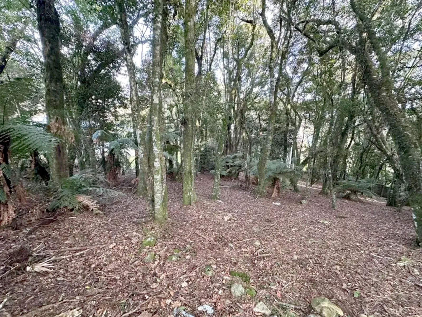 Terreno de 620 m² em condomínio fechado com lagos, foto 4