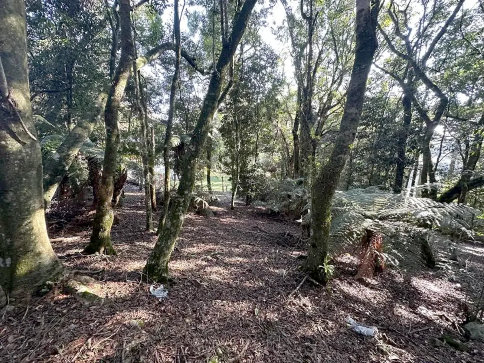 Terreno de 620 m² em condomínio fechado com lagos, foto 6