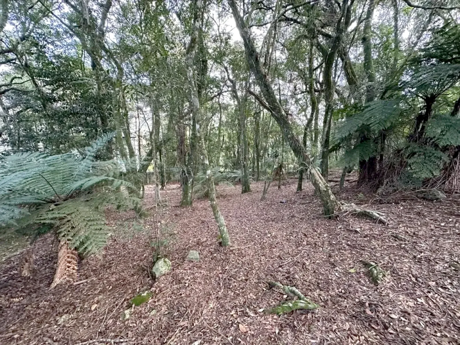 Terreno de 637 m² em condomínio perto da Rua Coberta
