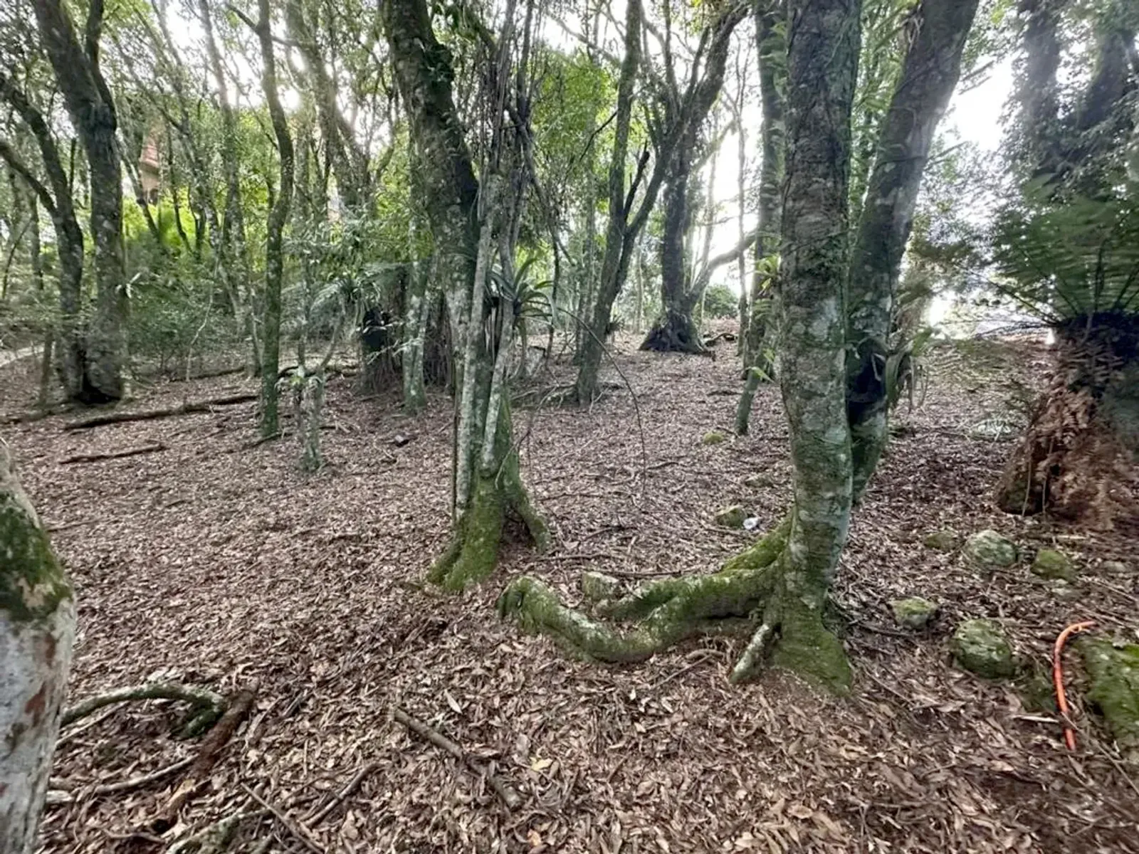 Terreno de 637 m² em condomínio perto da Rua Coberta, foto 4