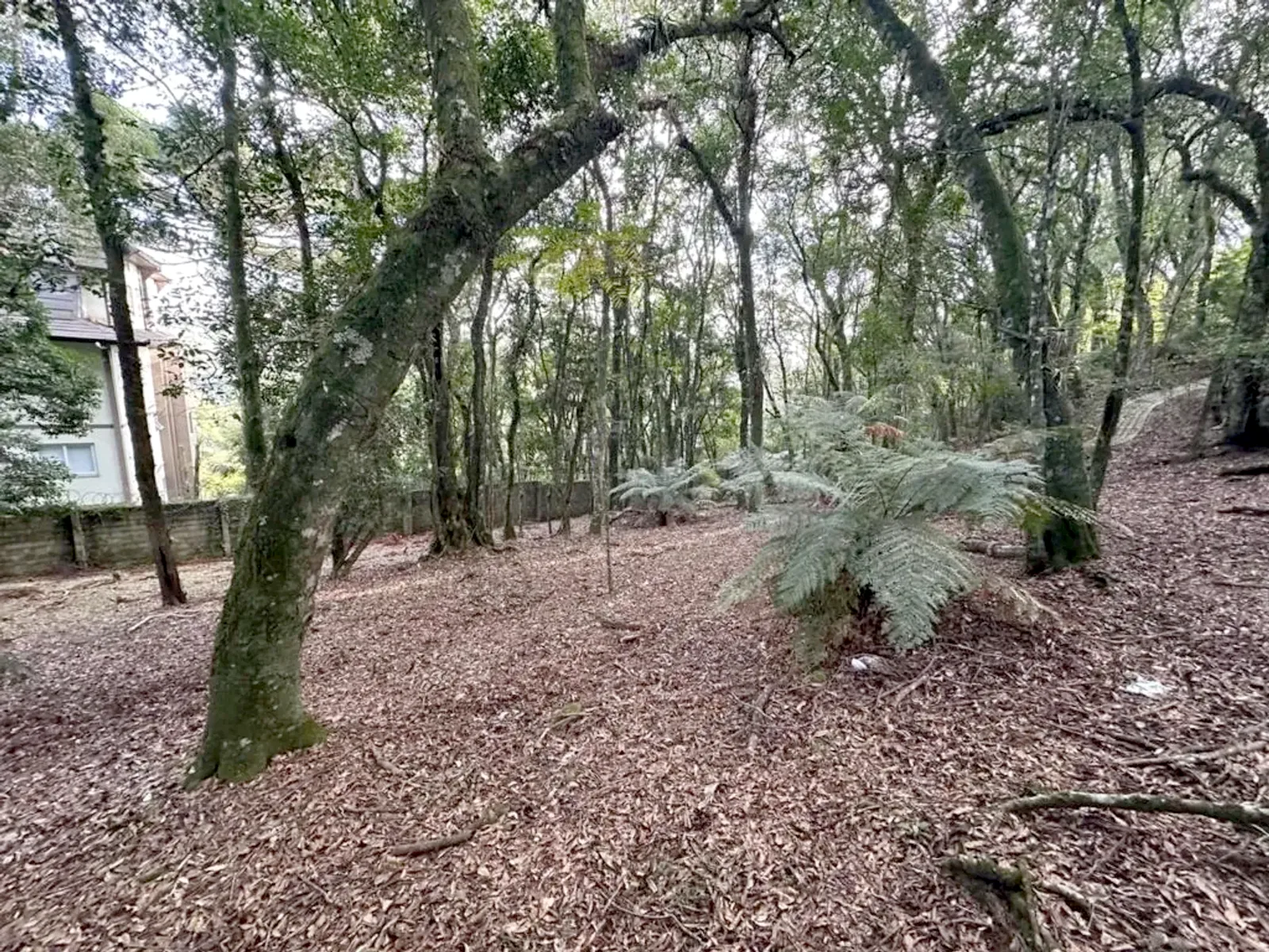 Terreno de 637 m² em condomínio perto da Rua Coberta, foto 5