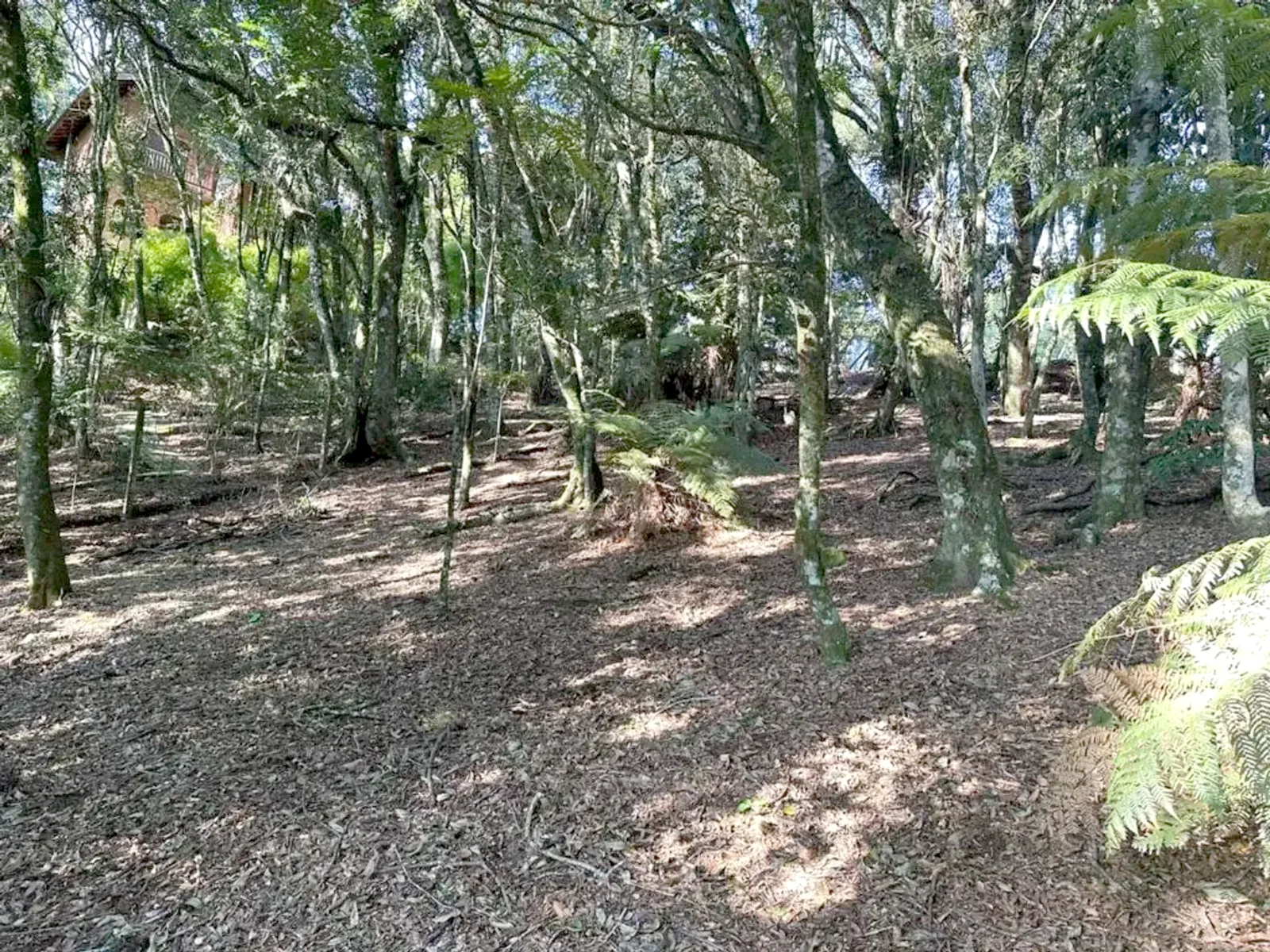 Terreno de 637 m² em condomínio perto da Rua Coberta, foto 6