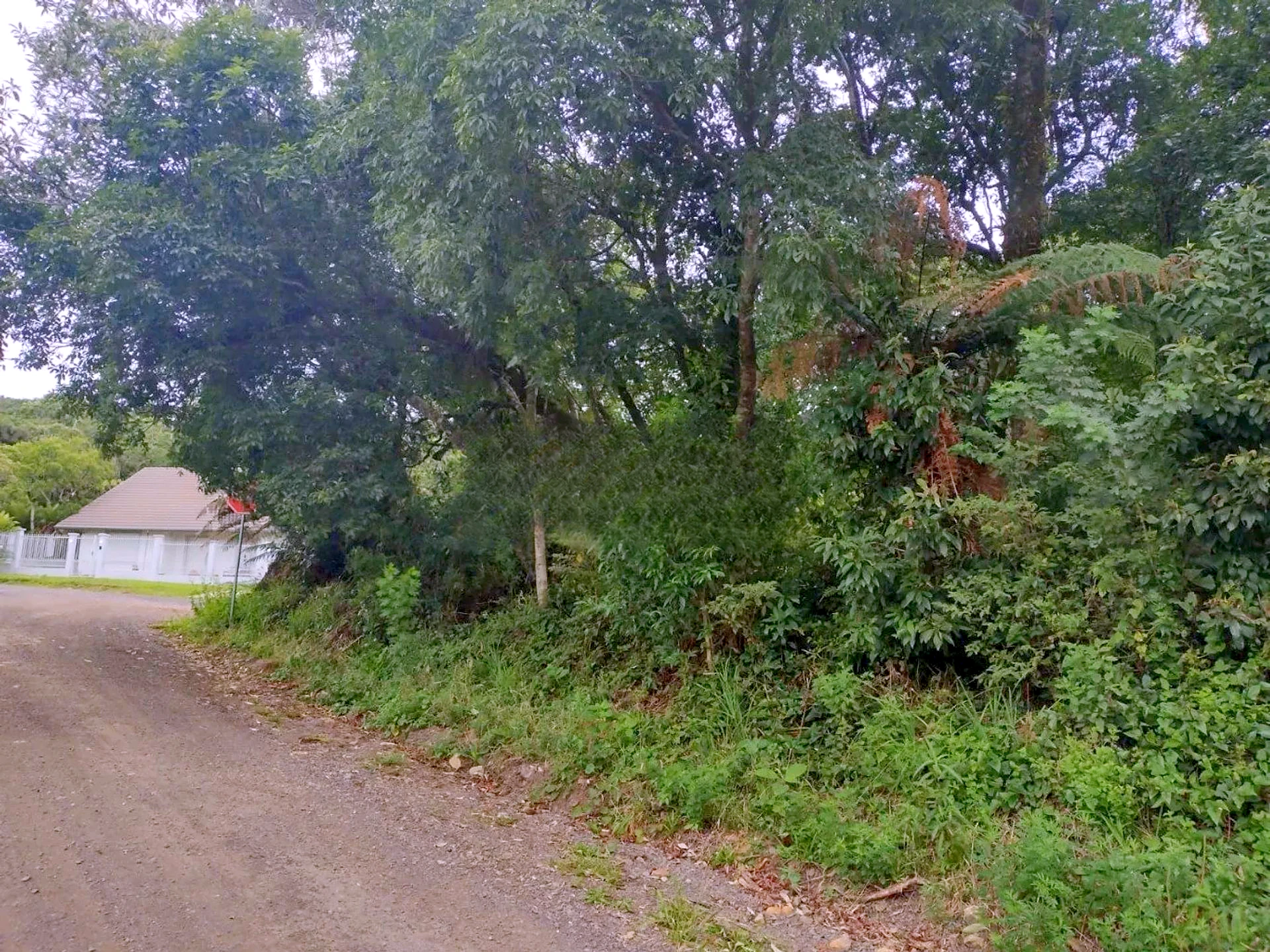 Terreno de 646 m² junto à rua no Alpes Verdes, em Canela