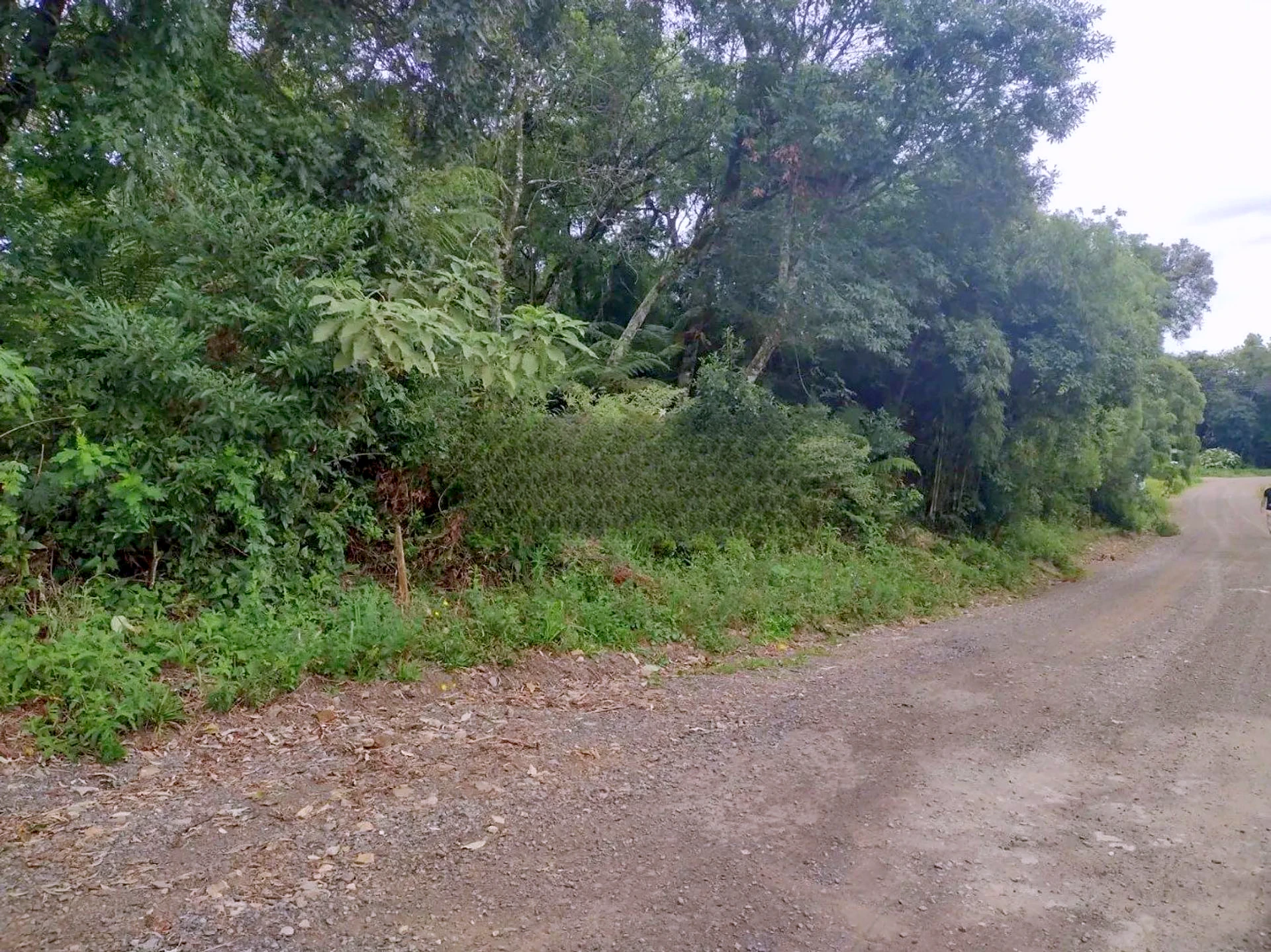 Lateral do lote e a rua
