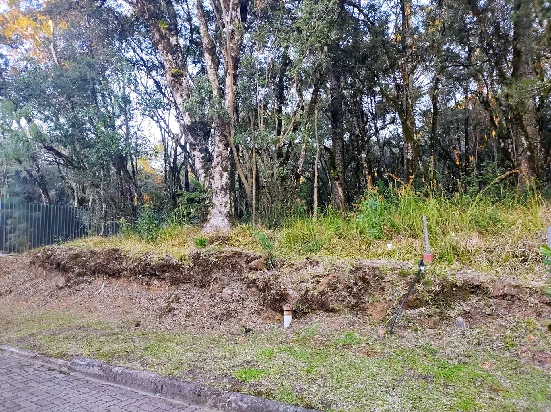Terreno plano de 654 m² em condomínio fechado na ERS-466, foto 4