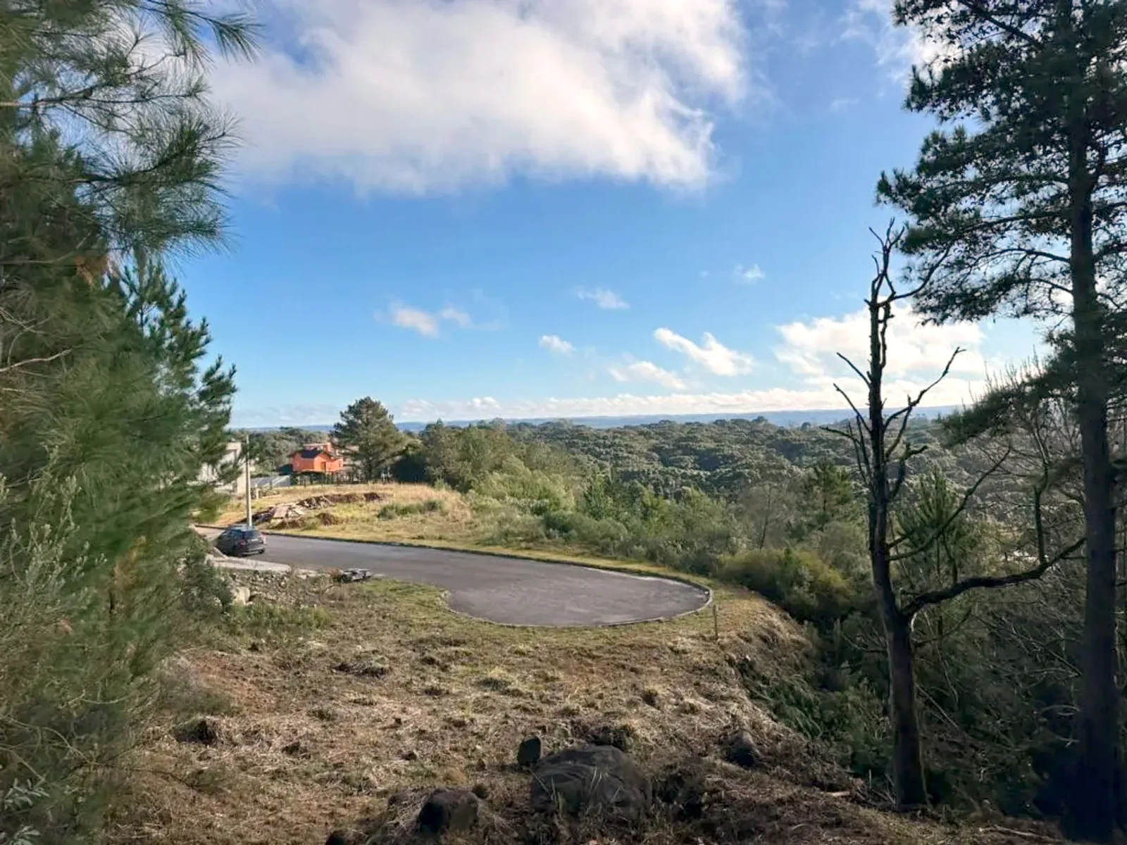 Vista permanente para o vale e a mata