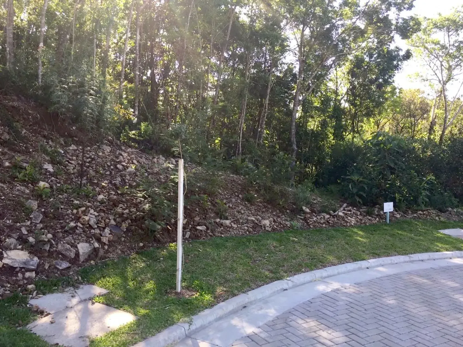 Frente do terreno de 731 m² junto à rua calçada