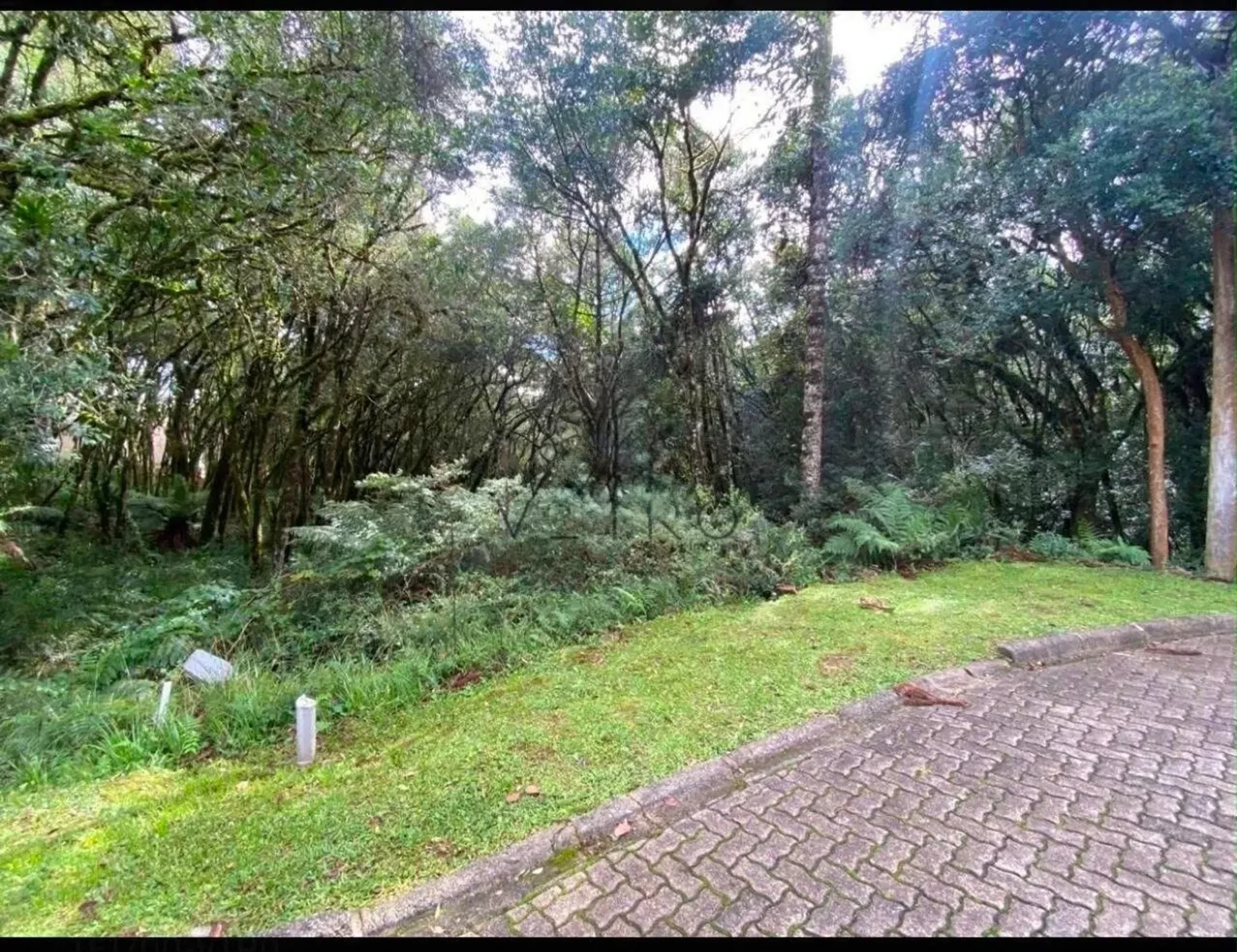 Terreno de 745 m² em condomínio fechado no Pinheiro Grosso, em Canela