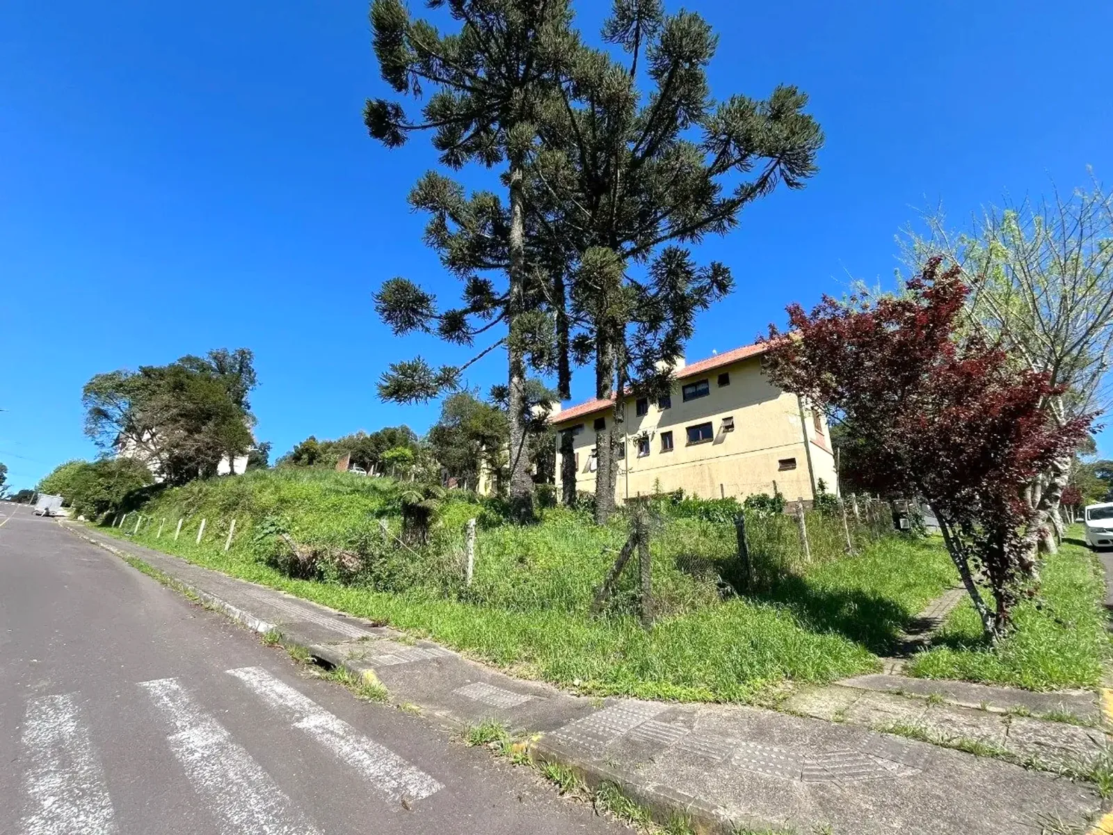 Esquina do lote com a faixa de pedestres