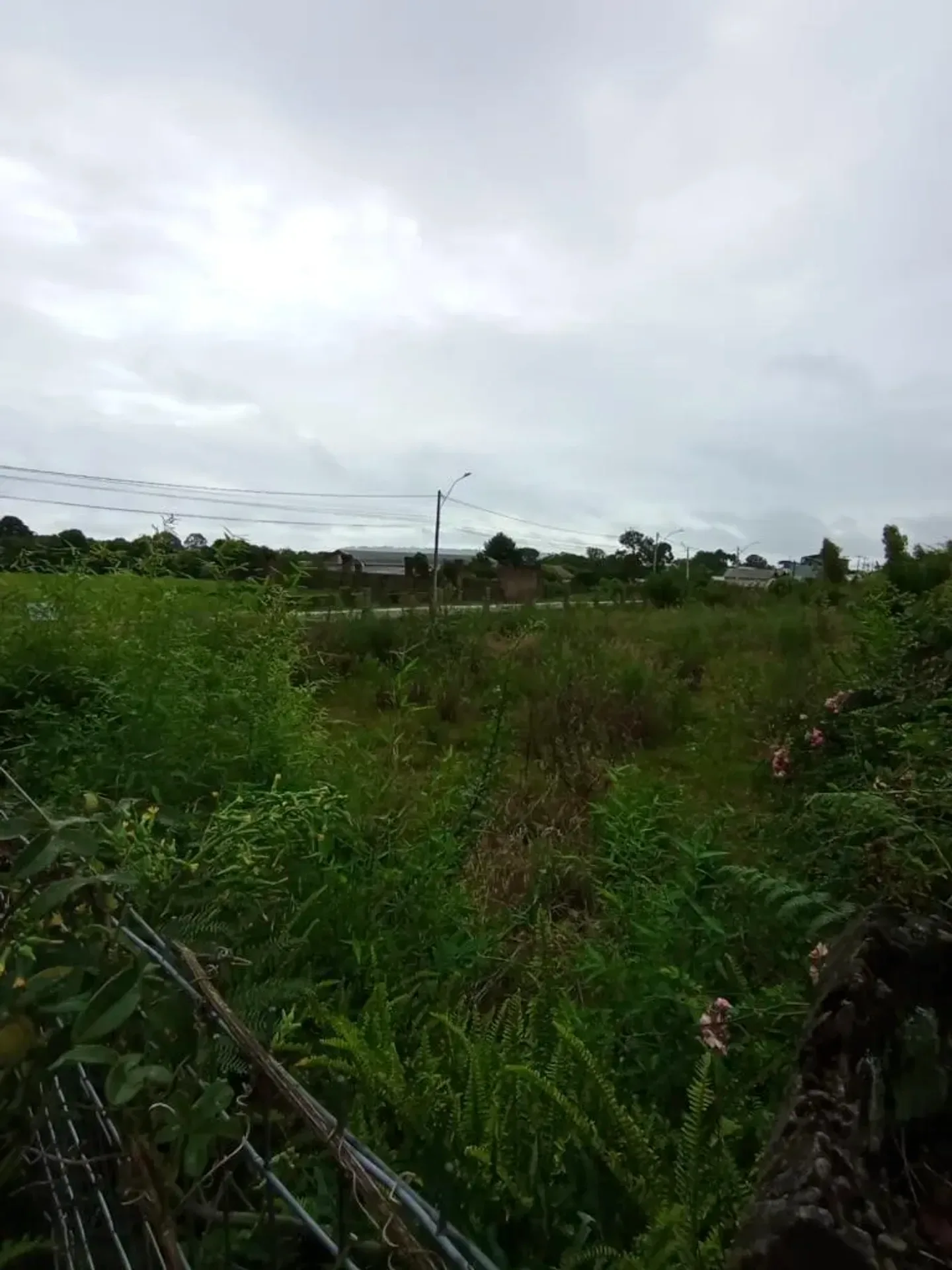 Terreno de esquina de 600 m² no São José, foto 5