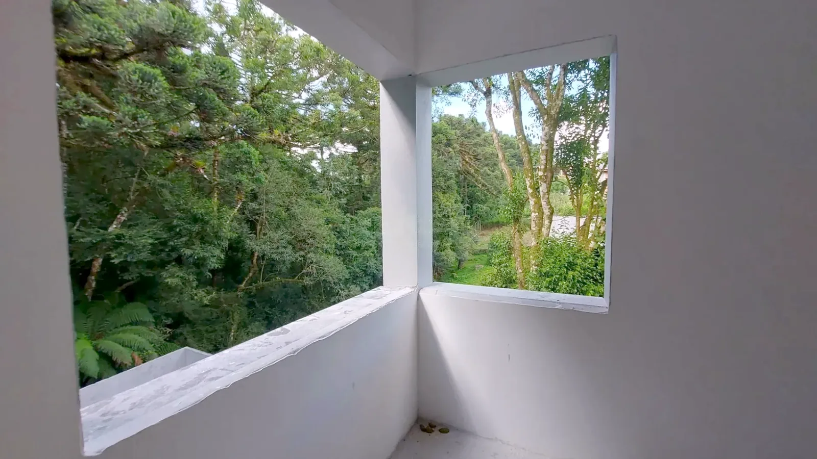 Janela do apartamento com vista para a mata