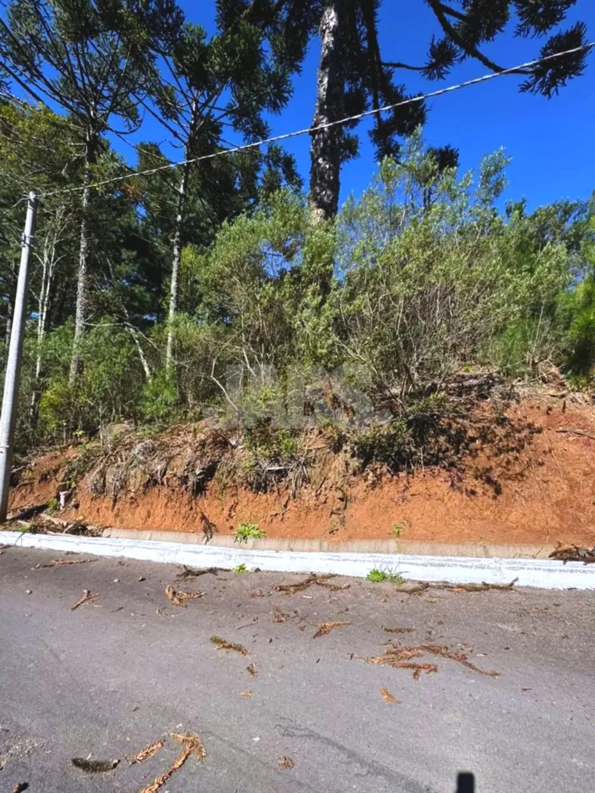 Testada do terreno junto ao meio-fio