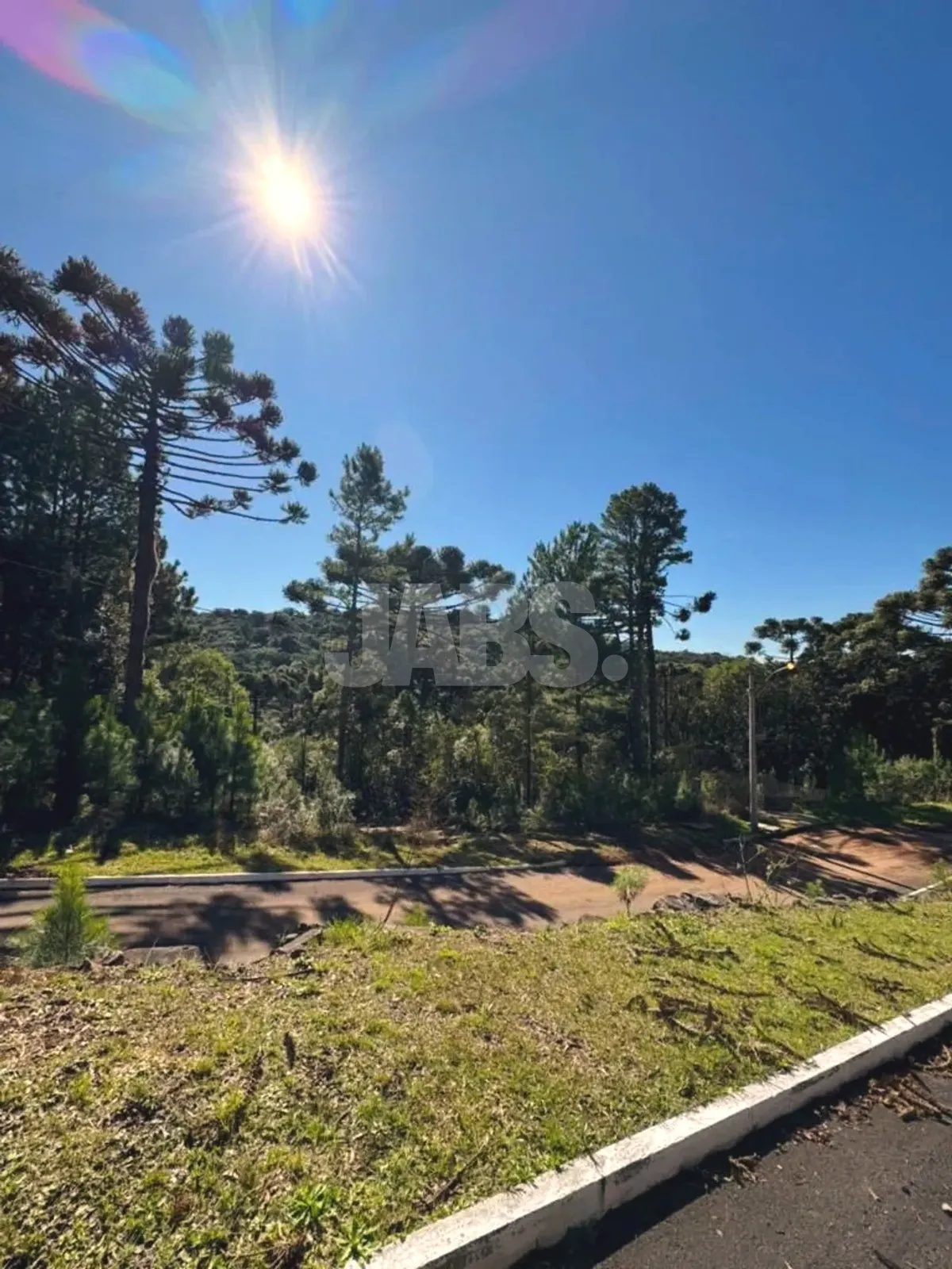 Vista do terreno com o vale ao fundo