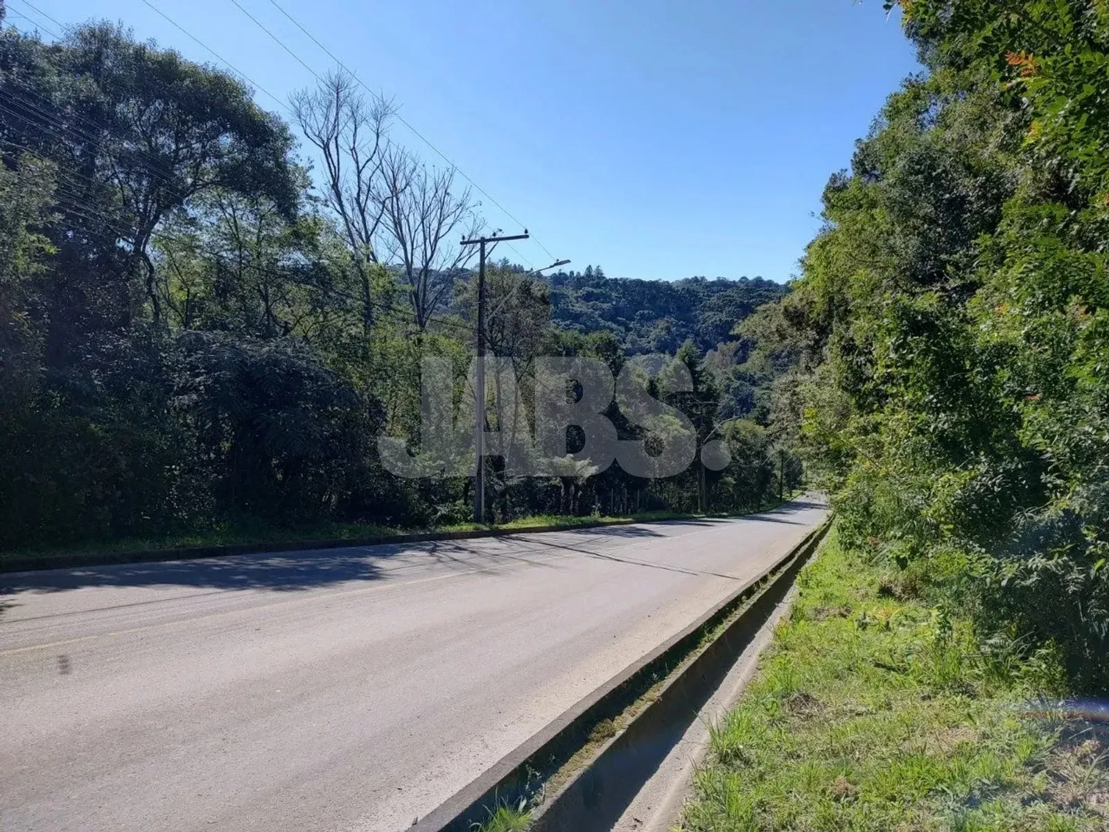 Rua asfaltada margeada por mata e morros ao fundo